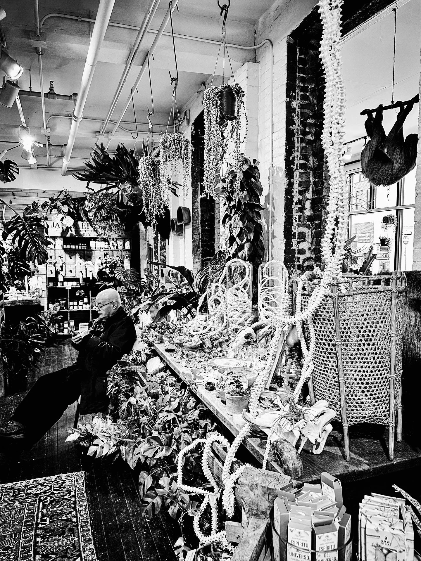 Interesting nature store #nature #plants #bones #skeleton #blackandwhitephotography #blackandwhite #streetphotography #candid
