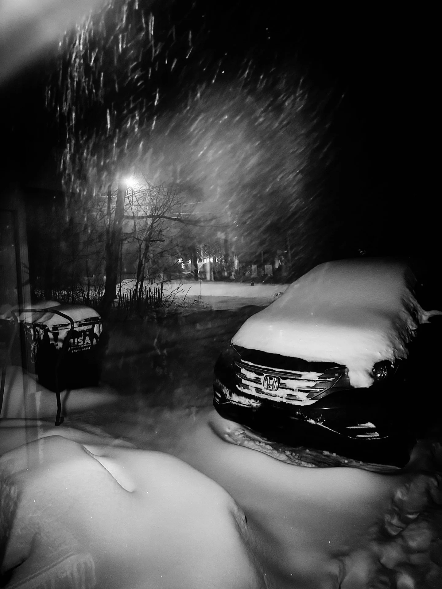 More snowstorm #snowy #stormy #snowstorm #blackandwhite #blackandwhitephotography #snow #winter #cold #coldweather