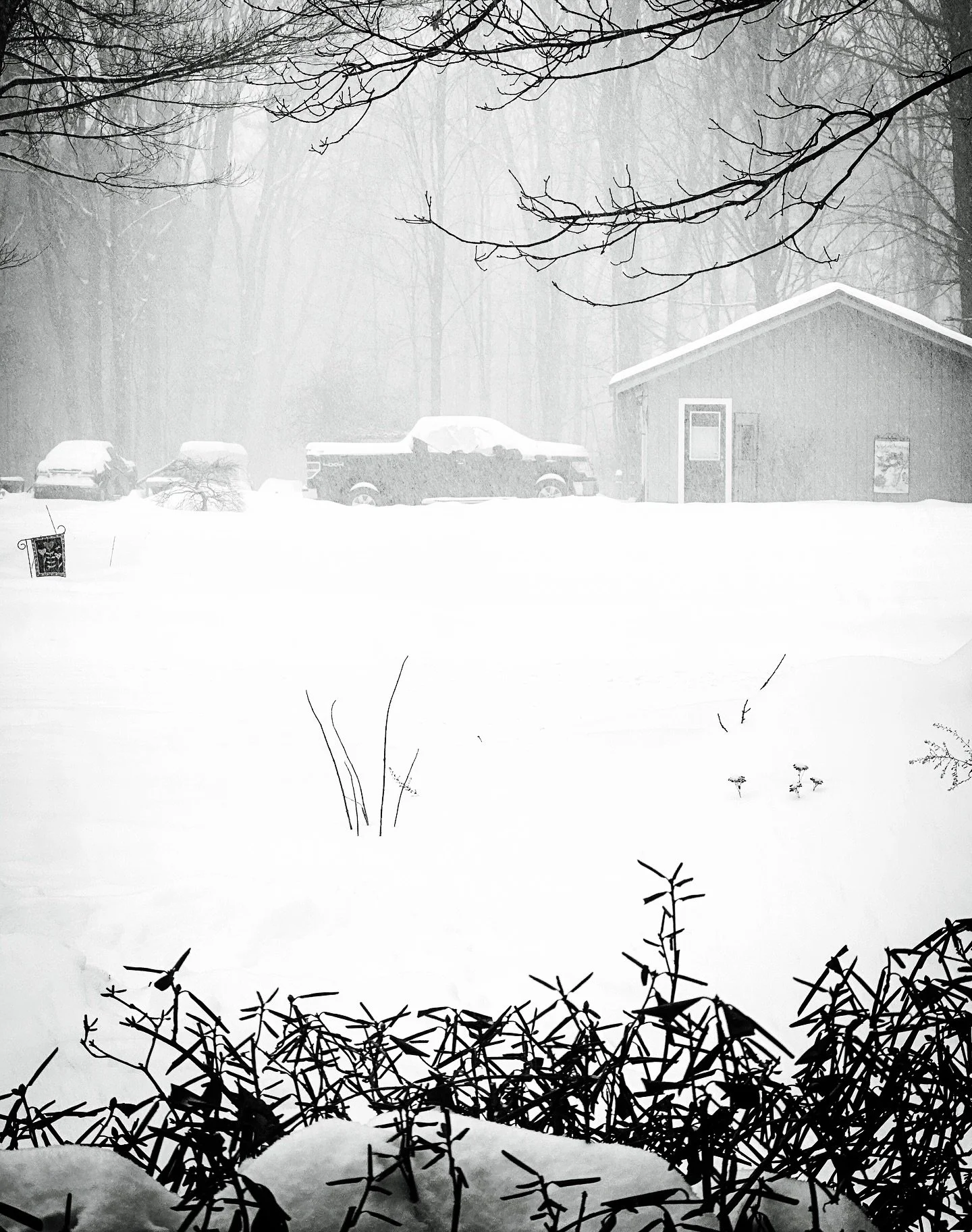 More Snowstorm Yesterday #snowstorm #blackandwhite #blackandwhitephotography #snowy #landscapephotography #landscape #winter #view