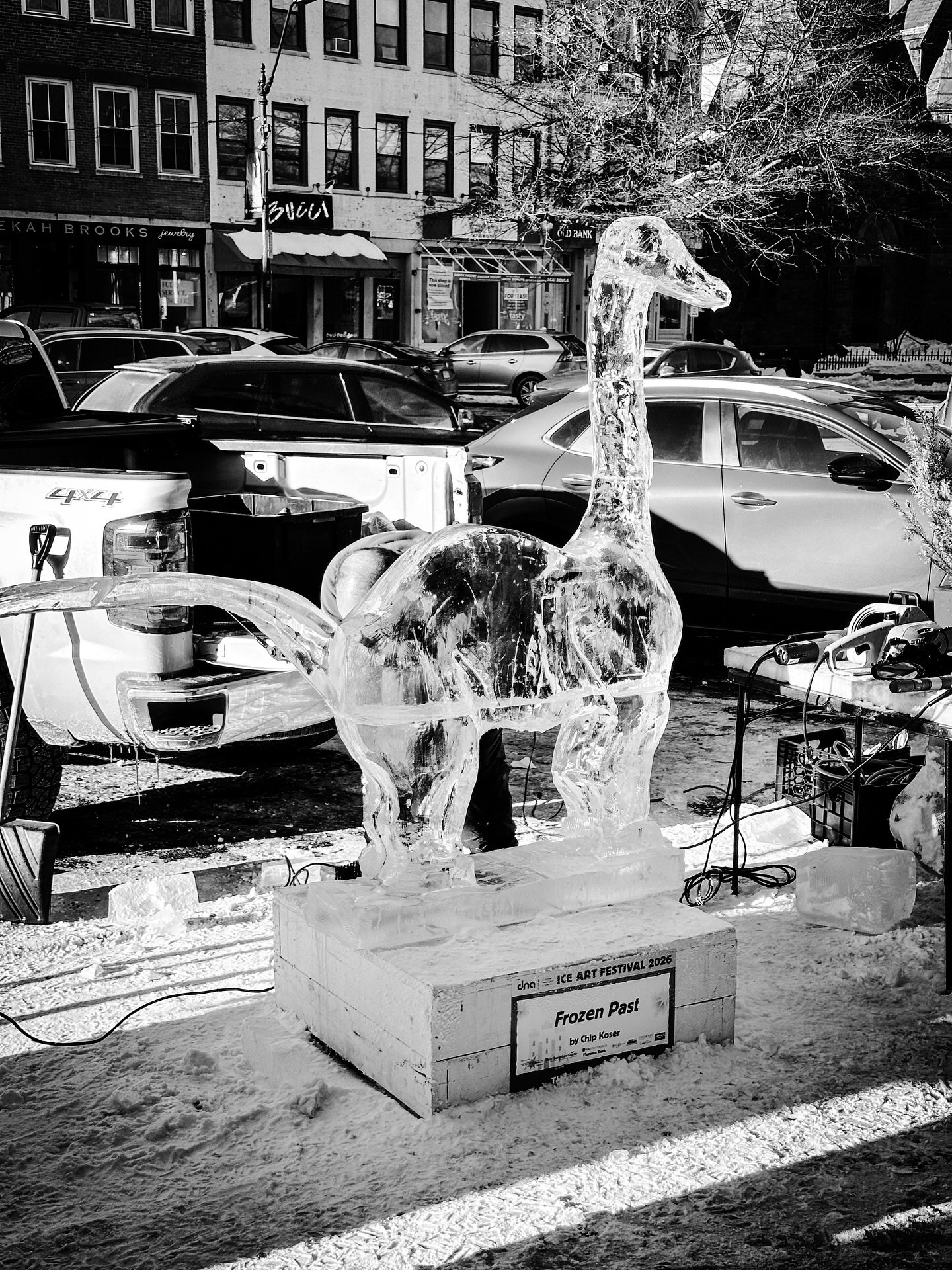 Icy art sculptures #iceartsculpture #icesculptures #streetphotography #streetphotos #blackandwhite #blackandwhitephotography #winter #art @northampton.live