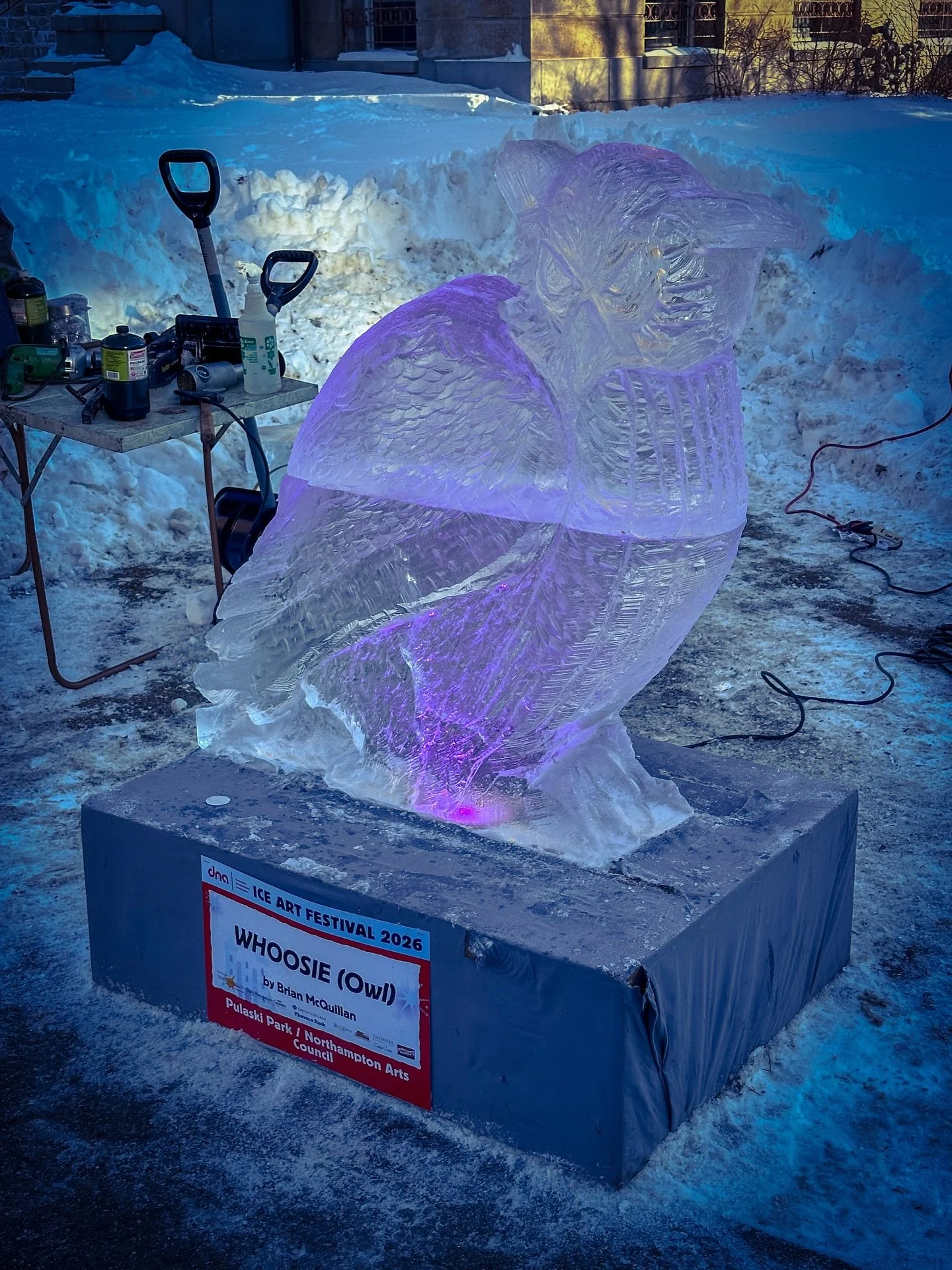 Owl icy art fest photos #colors #wintercolors #icy #iceart #icesculpture #winter #colorphotography #streetphotography