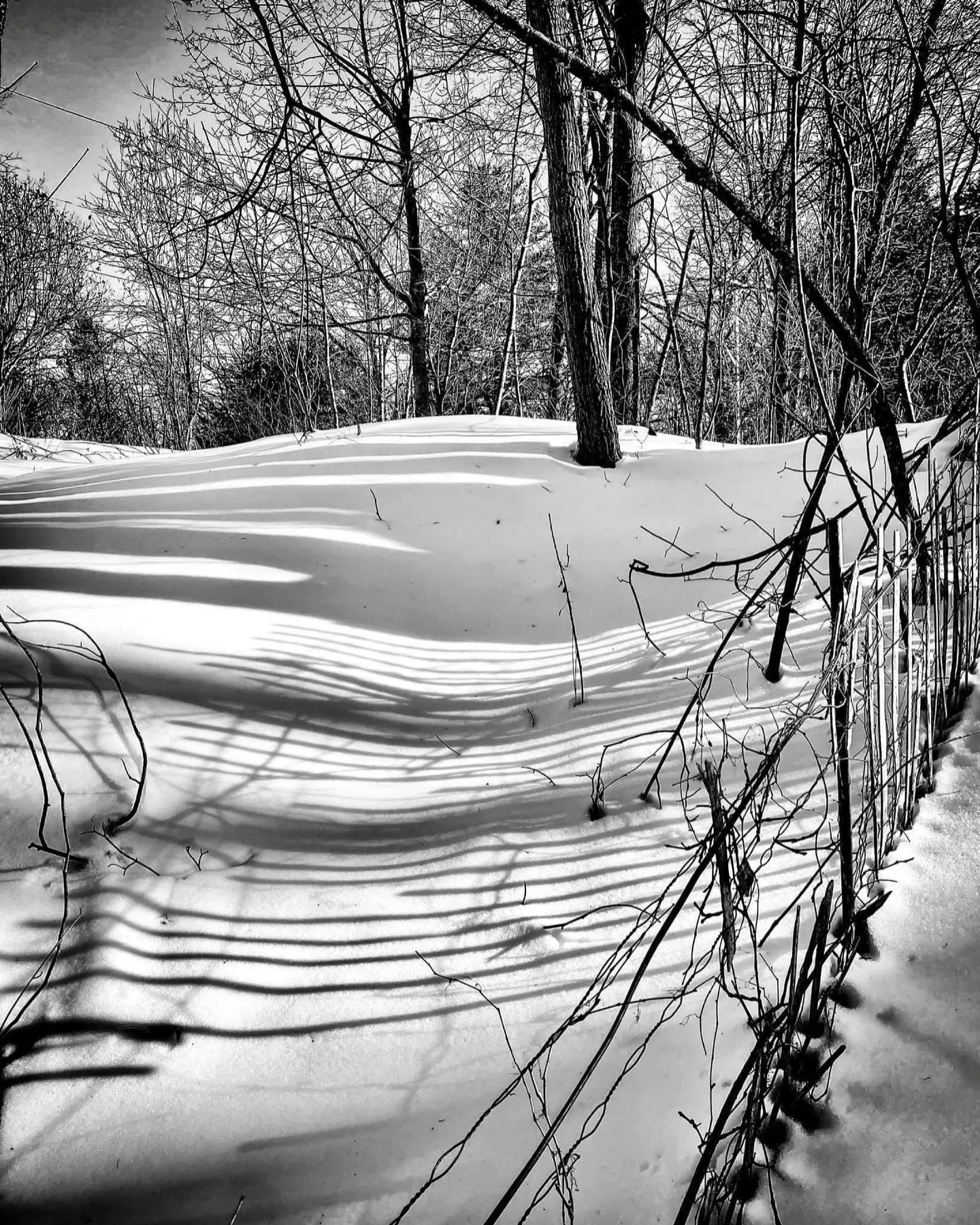 Winter shadows #jmerrickmedia #blackandwhite #blackandwhitephotography #winter #shadows #snow #snowy #timeless #class #throwback #repost