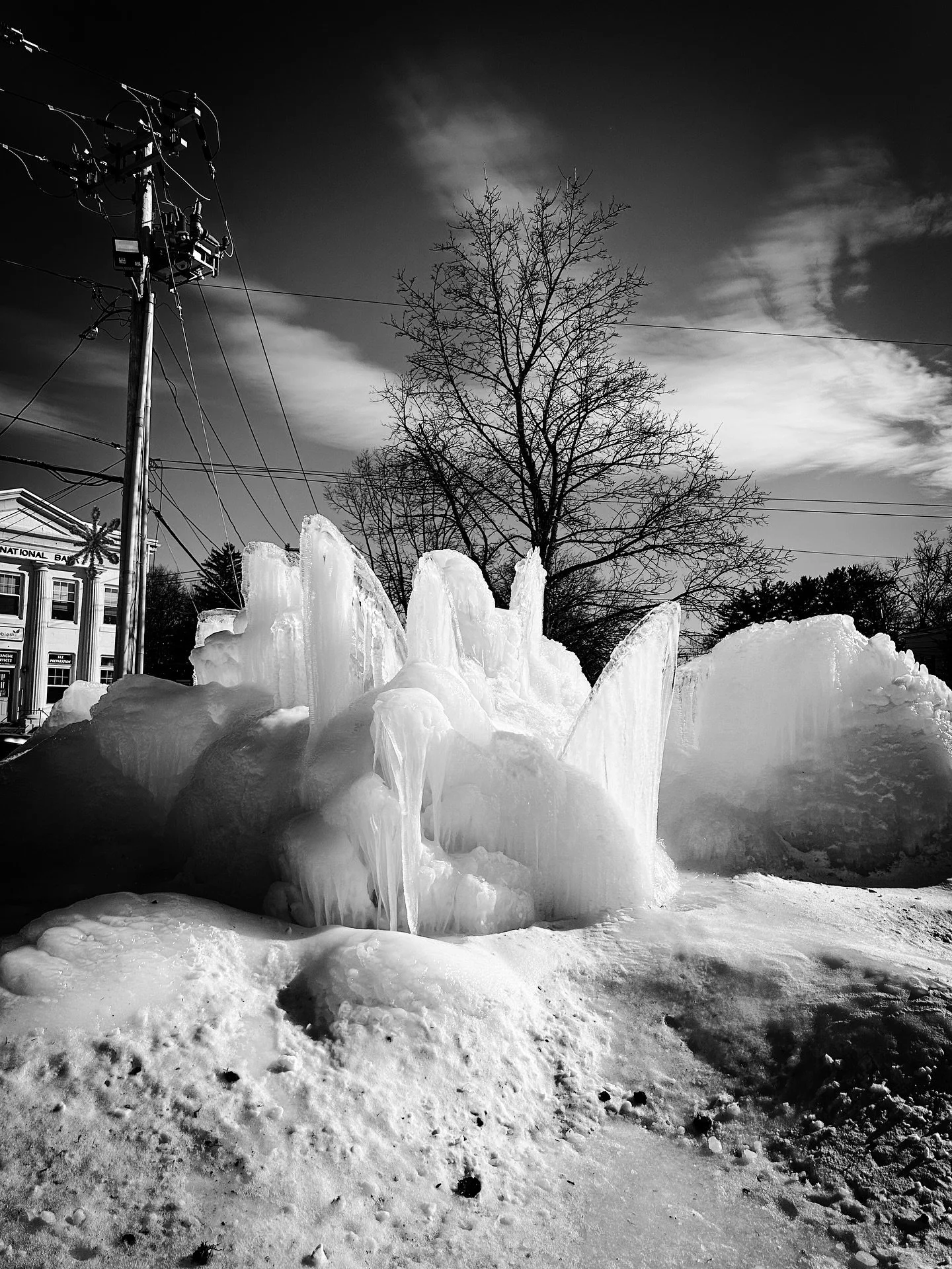 Icy dinosaur #icy #streetphotos #streetphotography #blackandwhitephotography #blackandwhite #winter #shapes #textures
