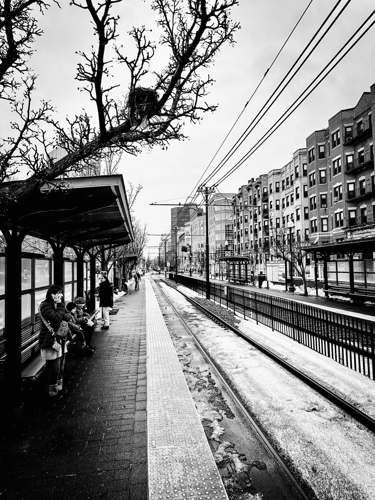 Boston birdhouse #boston #birdhouse #streetphotos #streetphotography #blackandwhite #blackandwhitephotography #architecture #city