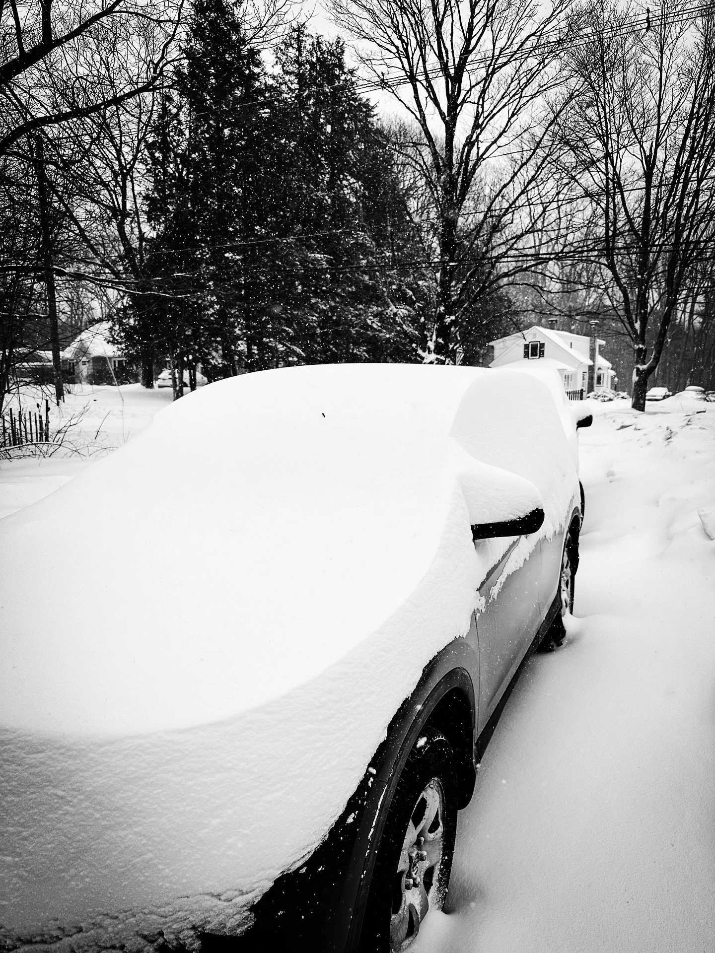 Snowstorm views #snowstorm #snow #blackandwhitephotography #blackandwhite #landscape #landscapephotography #snow #snowy