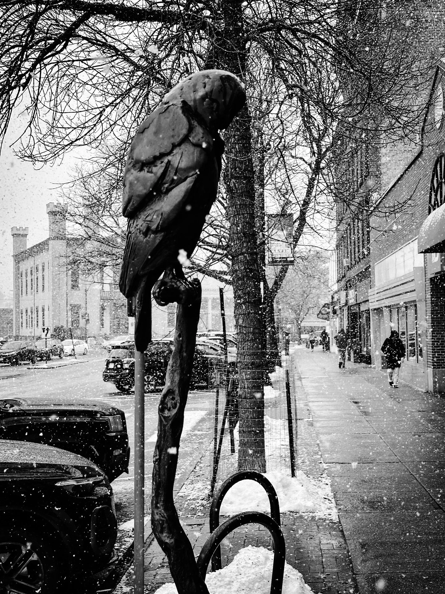 Oh boy, more snow #snow #snowing #streetphotography #streetphotos #blackandwhite #blackandwhitephotography #winter #architecture