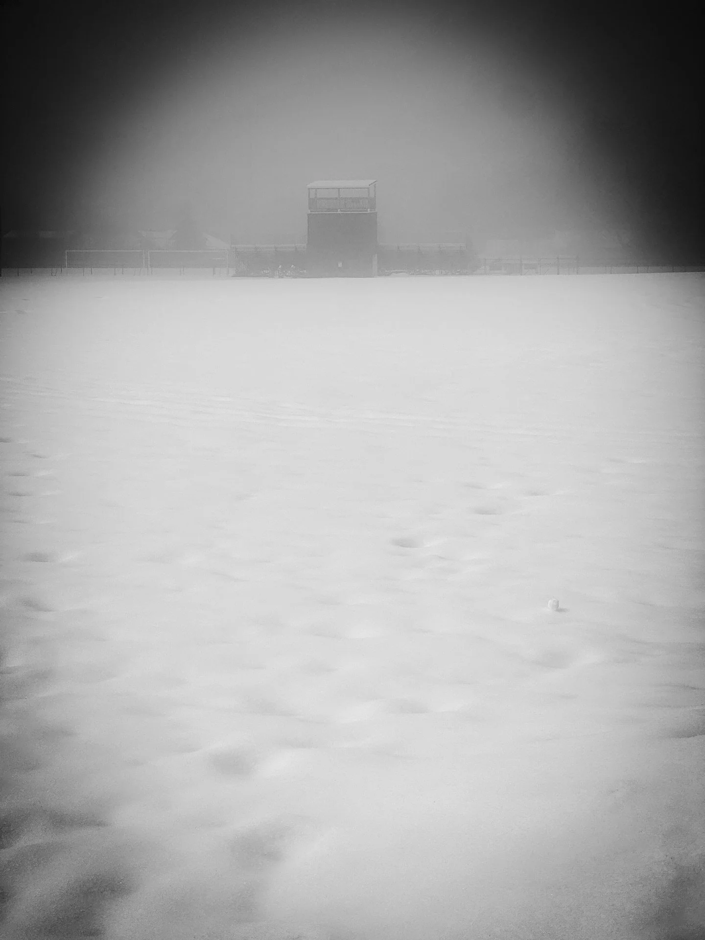 #mysterious #noir #blackandwhitephotography #blackandwhite #misty #foggy #snowy #landscape #landscapephotography