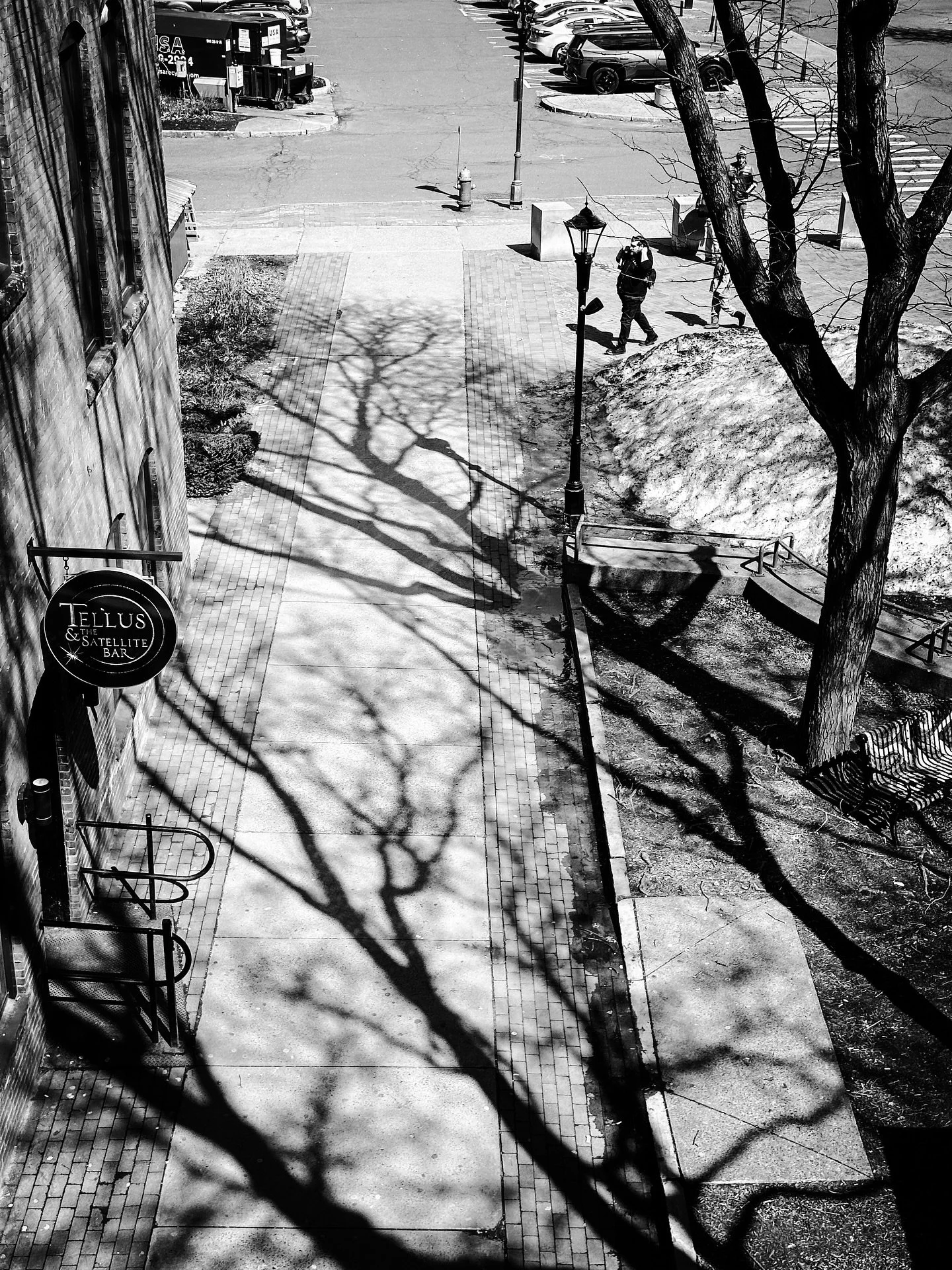 Tree shadows view #shadows #trees #architecture #blackandwhitephotography #blackandwhite #streetphotography #streetphotos #view