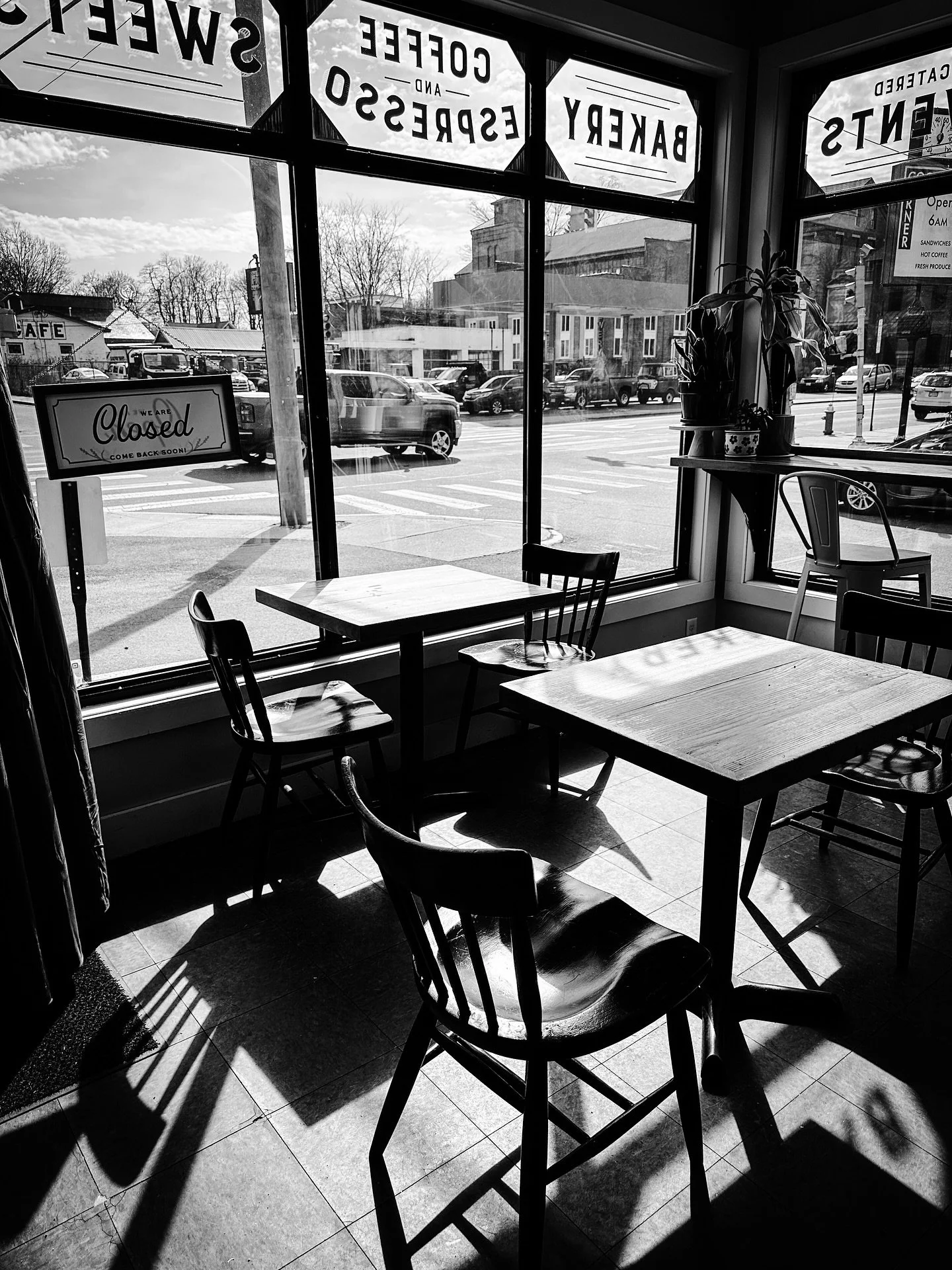 For Easter- Lemon sandwich cookies @florencepiebar #bakery #cafe #shadows #windows #blackandwhite #blackandwhitephotography