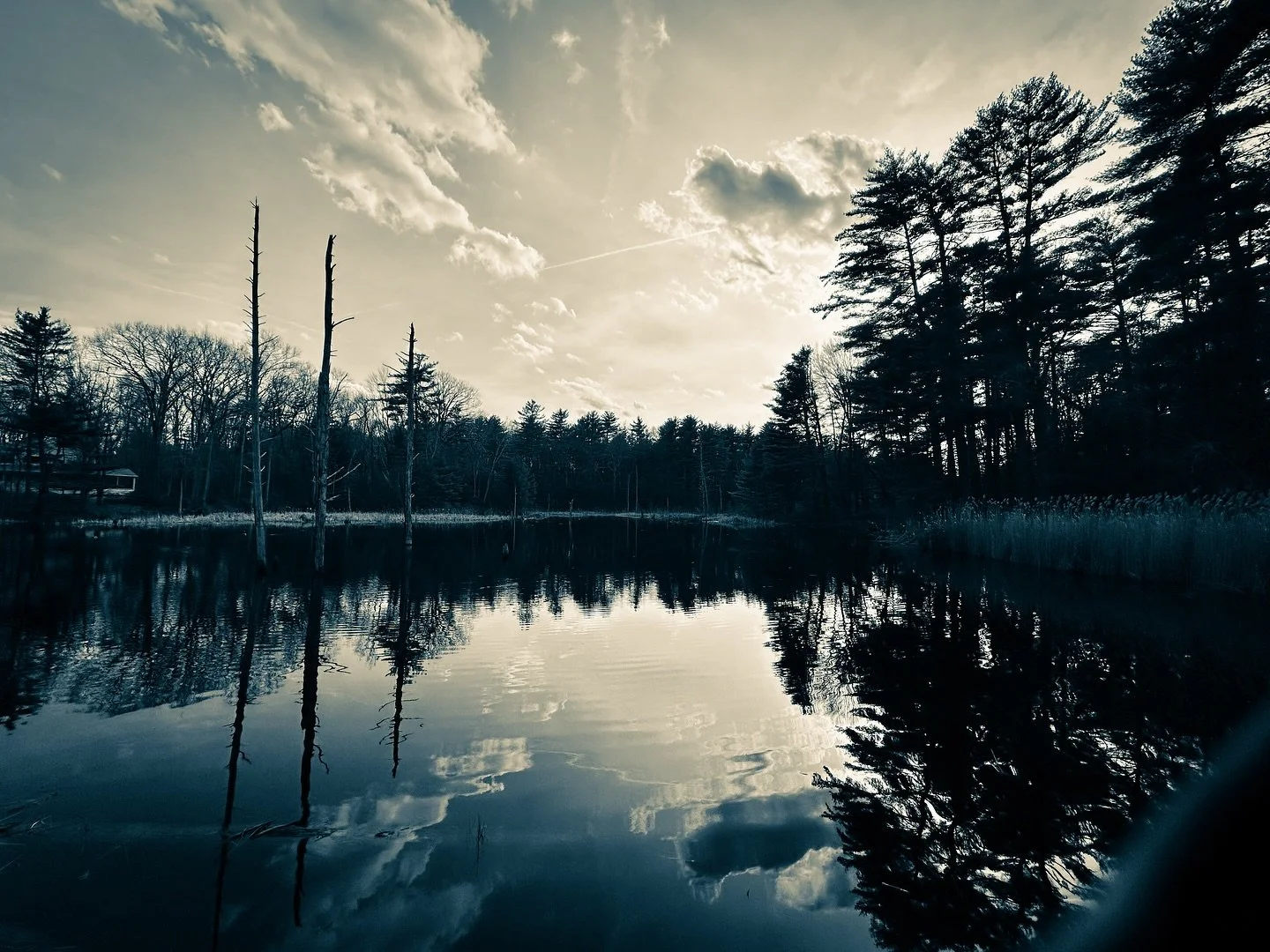 Bike ride view April 2026 (a few days ago) #blackandwhite #blacknwhitephotography #sepia #cyan #landscape #landscapephotography