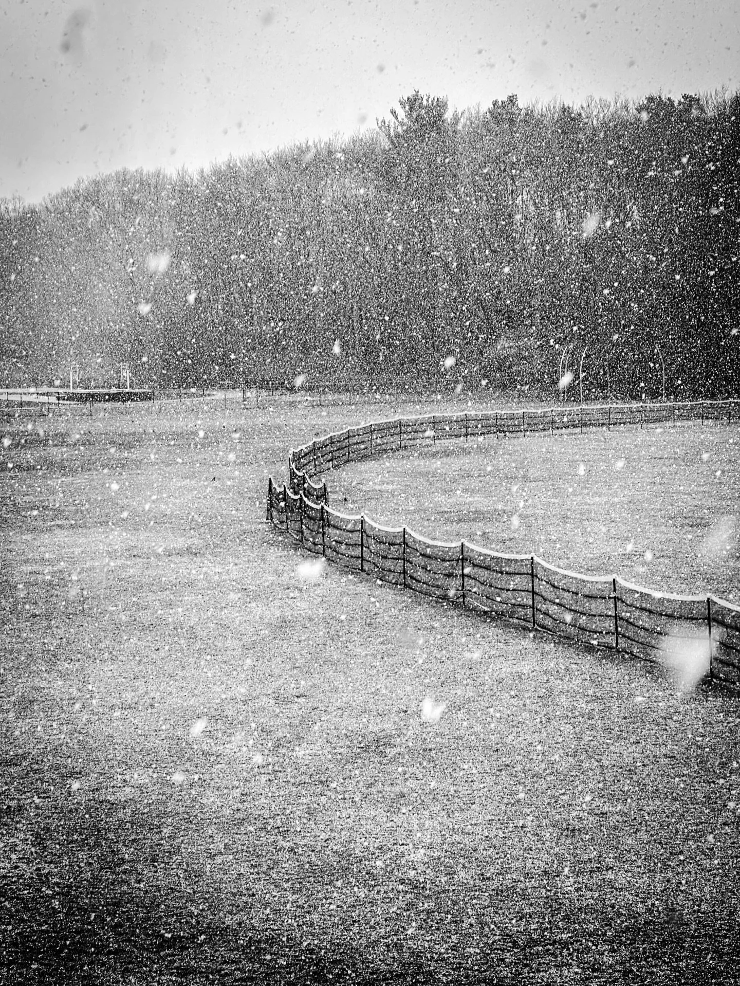 This morning- snow in April #snow #snowing #blackandwhite #blackandwhitephotography #landscape #april #spring #morning