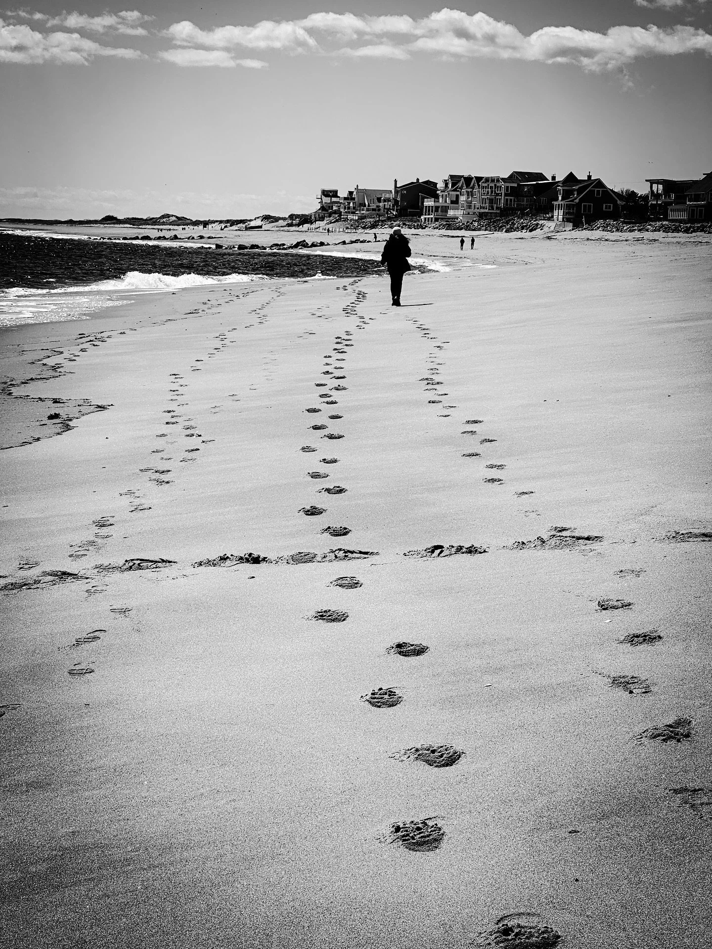 Ocean beach views ❤️🖤🌊#ocean #beach #oceanbeach #blackandwhite #blackandwhitephotography #jmerrickmedia #landscape #soring #landscapephotography #bw_perfect #bw_addiction #captures_bnw #rebel_bnw #incredible_bnw