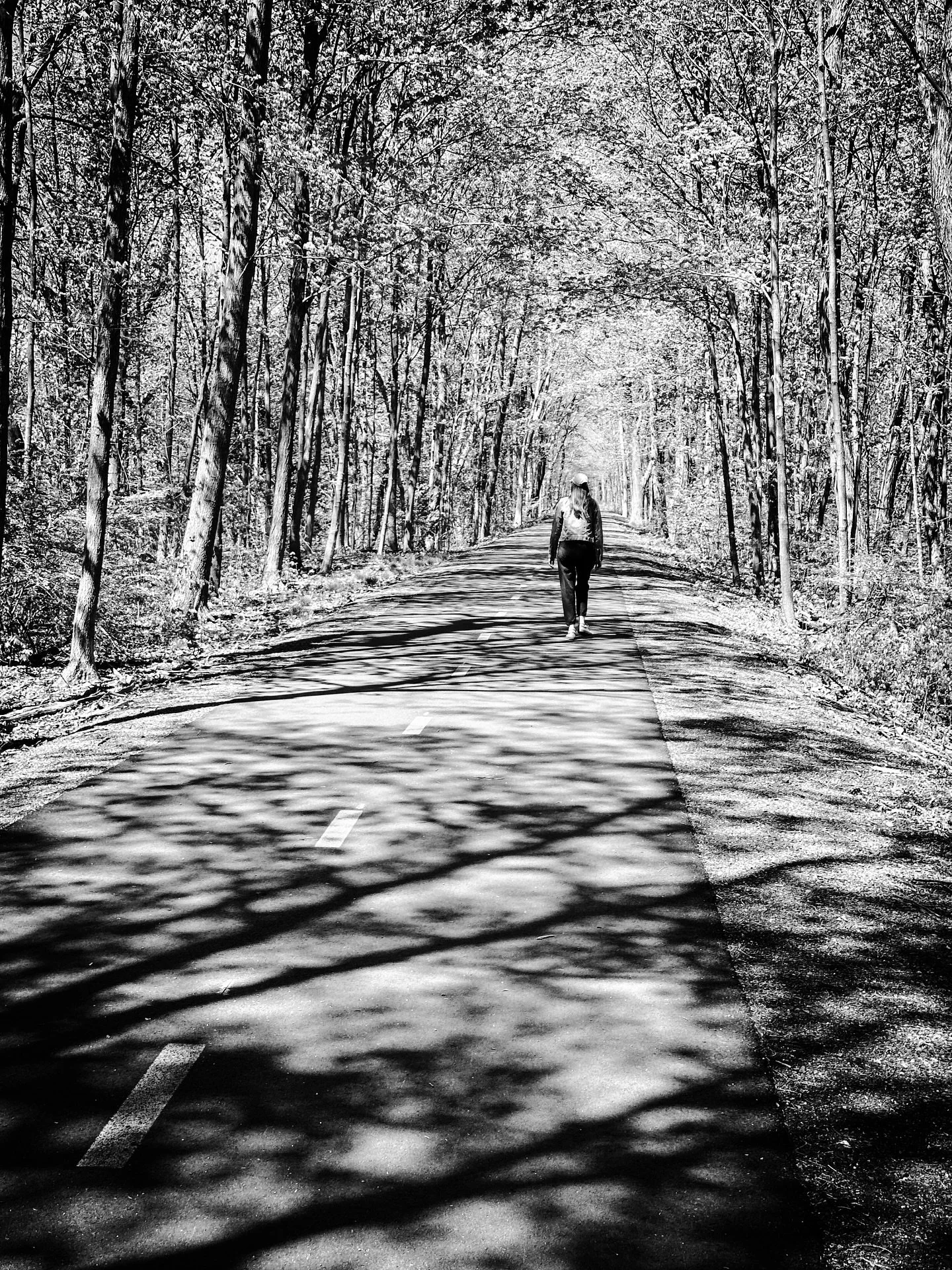 Spring shadows #spring #shadows #bikepath #blackandwhite #blackandwhitephotography #trees #path #dreamy