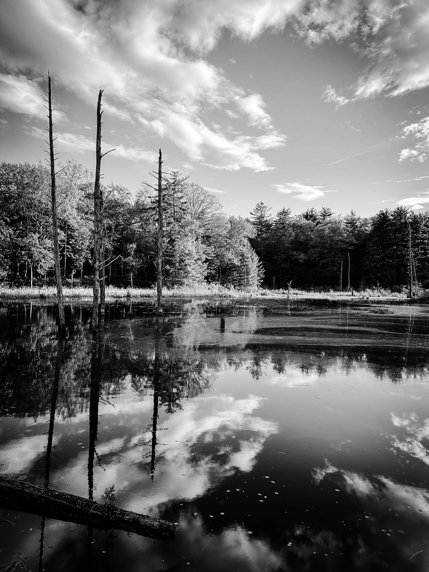 Places &amp; spaces #sublime #view #landscape #sky #clouds #blackandwhitephotography #blackandwhite #landscapephotography #bikeview #pond #nature #reflections