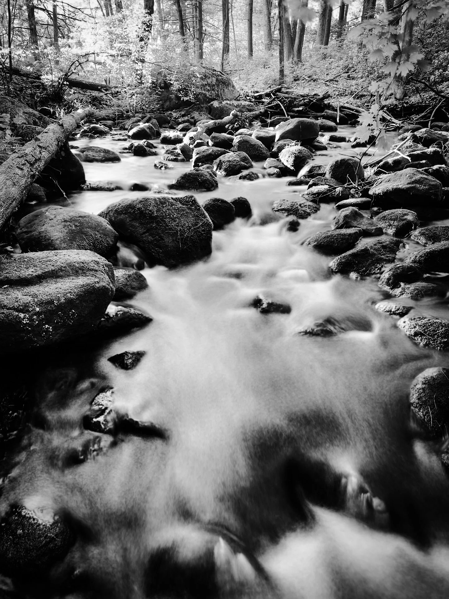 #stream #woods #blackandwhite #blackandwhitephotography #monochrome #longexposure #slowexposure #colors #colorphotography #nature #naturephotography