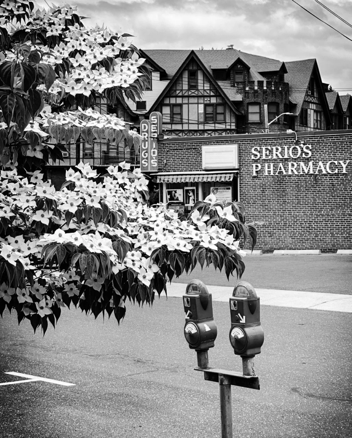 Today #streetphotos #streetphotography #blackandwhite #blackandwhitephotography #flowers #architecture #timeless