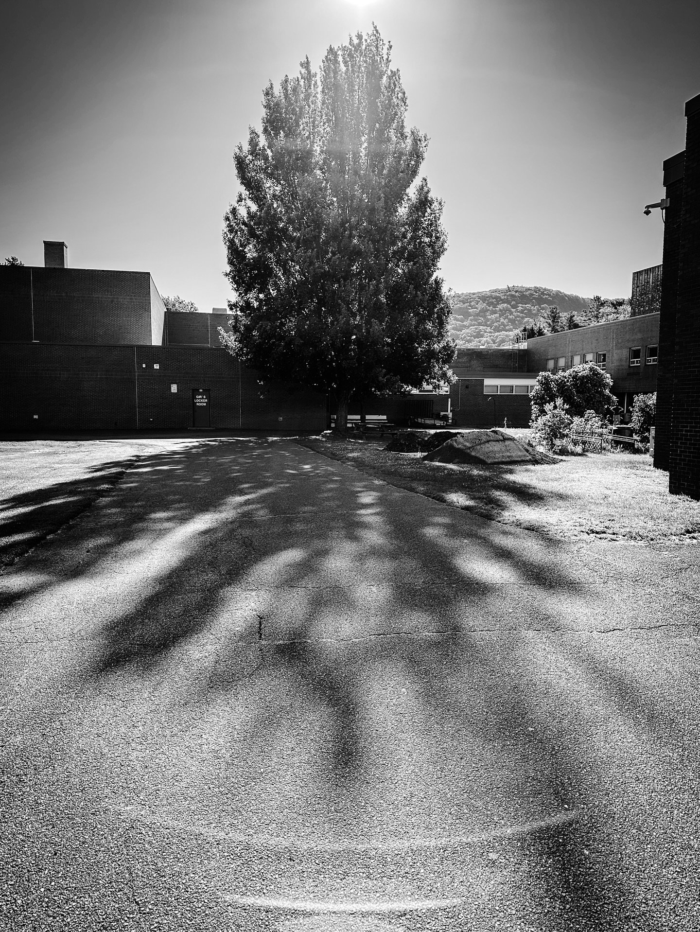 Hot days- at work &amp; more field trip pics #hot #summer #sun #shadows #blackandwhitephotography #blackandwhite #tropical #plants #landdcape #botanical #streetphotos #streetphotography #landscapephotography