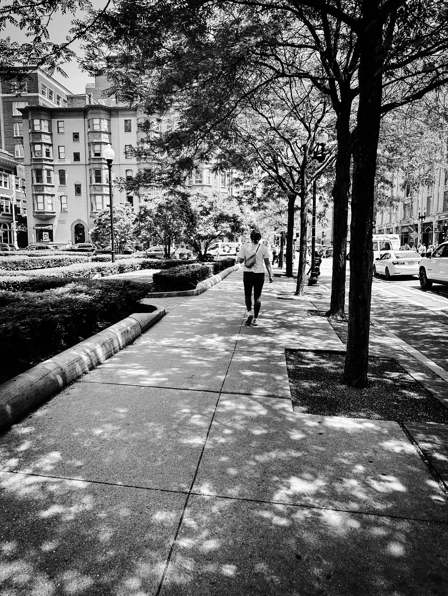 #streetphotography #boston #streetscene #streetphotos #blackandwhite #blackandwhitephotography #dappledlight #city #timeless