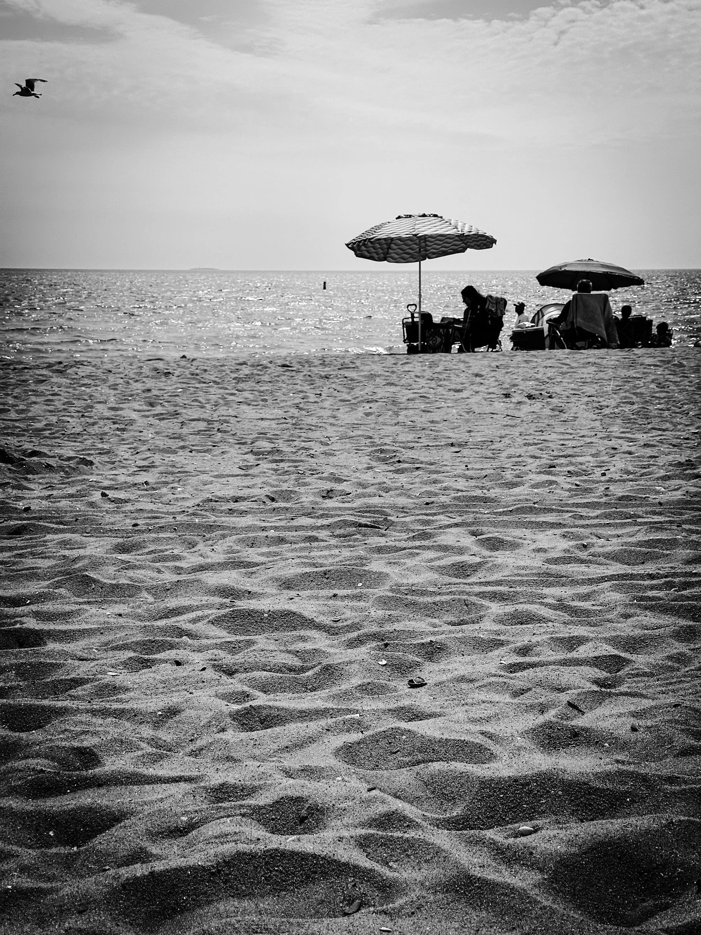More beach 🏖️ 🌊 #ocean #beach #oceanbeach #streetphotos #streetphotography #blackandwhite #blackandwhitephotography #timeless #summer