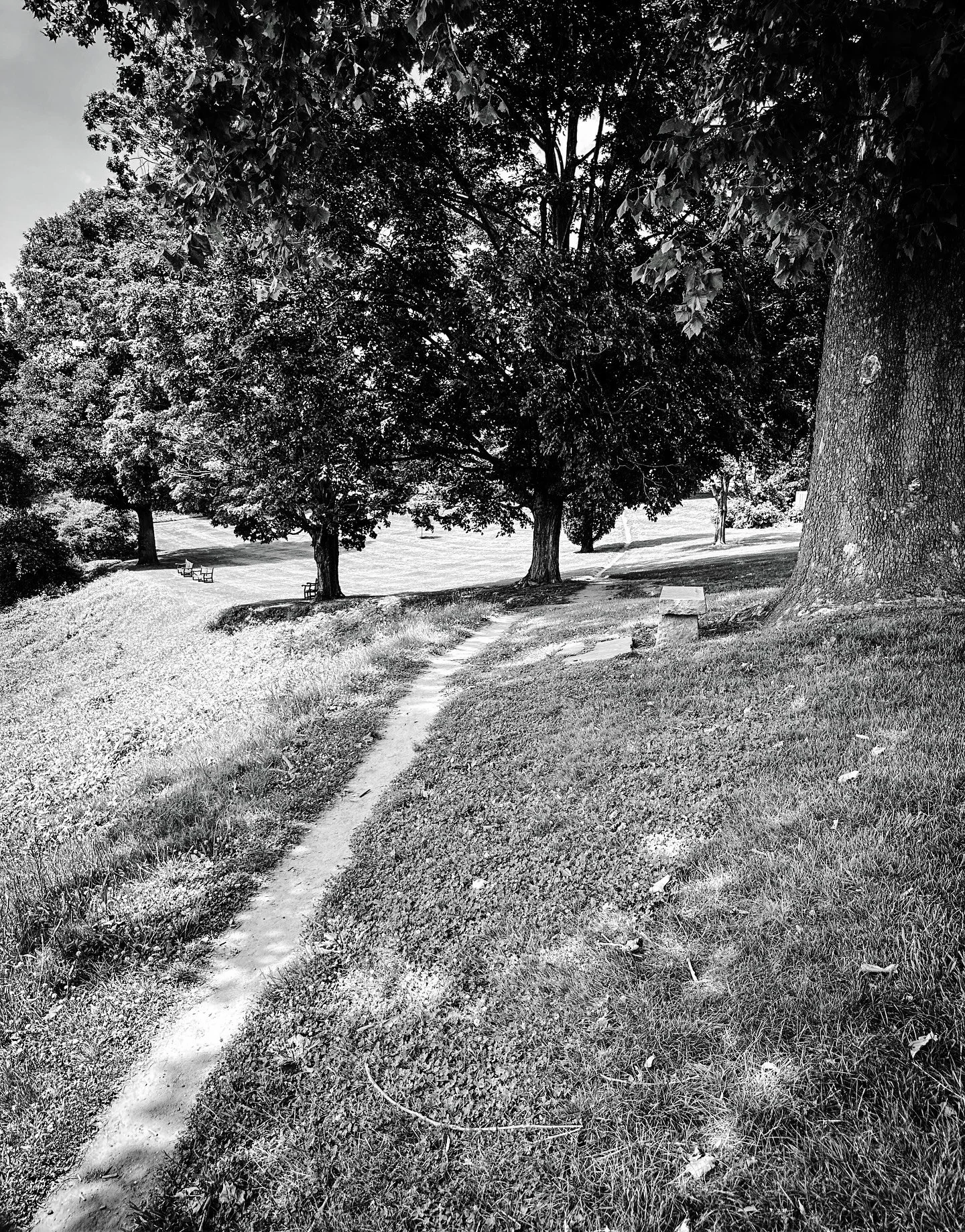 #path #paths #streetphotos #streetphotography #blackandwhite #blackandwhitephotography #summer #landscape #landscapephotography