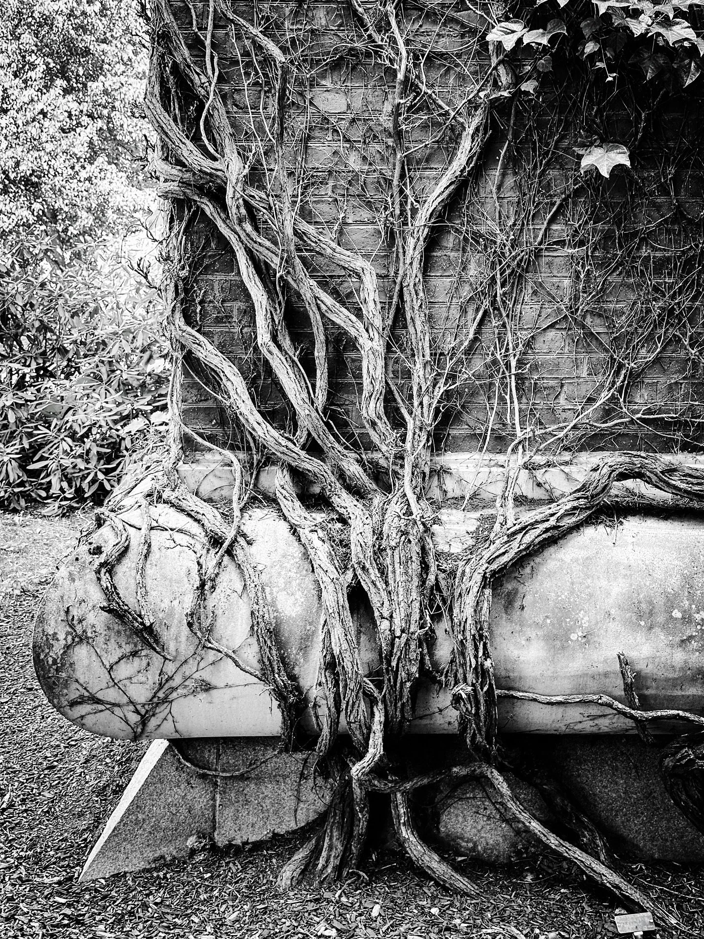 #architecture #streetphotography #streetphotos #blackandwhitephotography #blackandwhite #summer #timeless