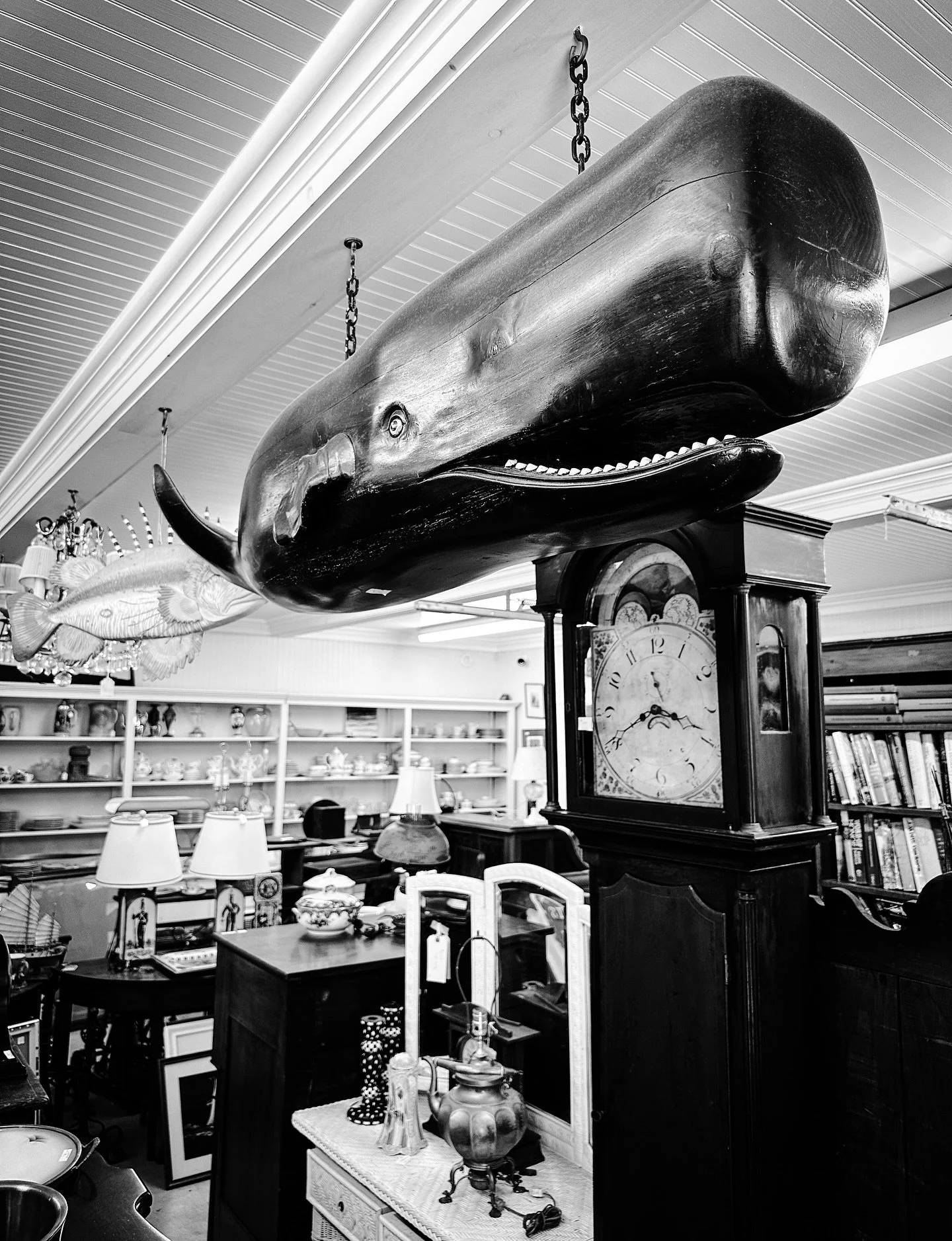 Cool antique shop today (Marion Antique Shop) #antiques #antique #vintage #retro #massachusetts #blackandwhitephotography #blackandwhite #antiquing