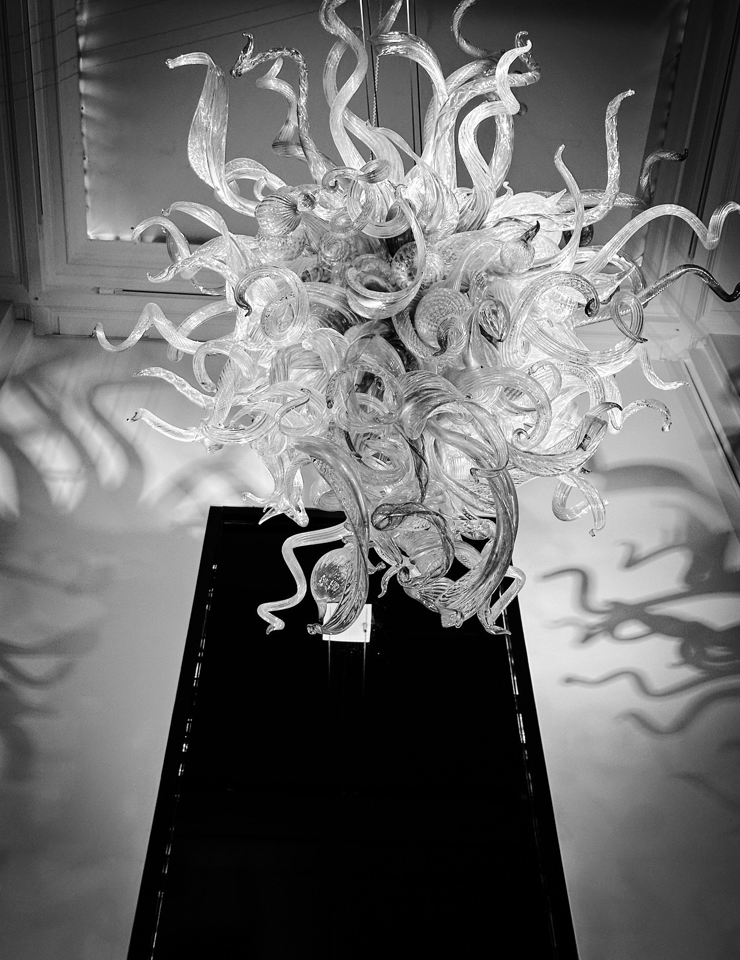 @chihulystudio @artmuseumnb #sculpture #art #museum #artmuseum #blackandwhite #blackandwhitephotography