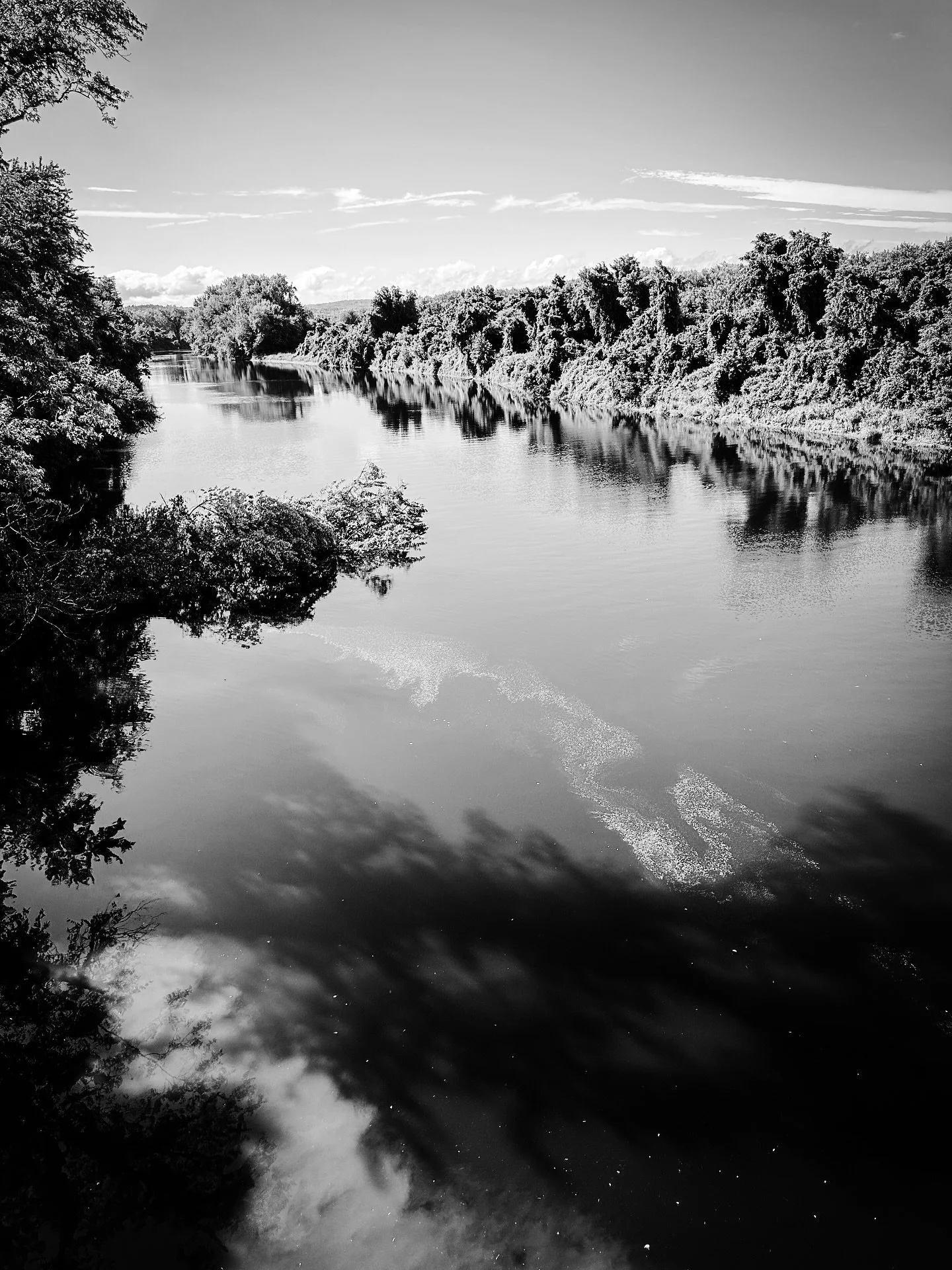 River views #river #riverview #view #blackandwhite #blackandwhitephotography #landscape #landscapephotography #sepia #cyan