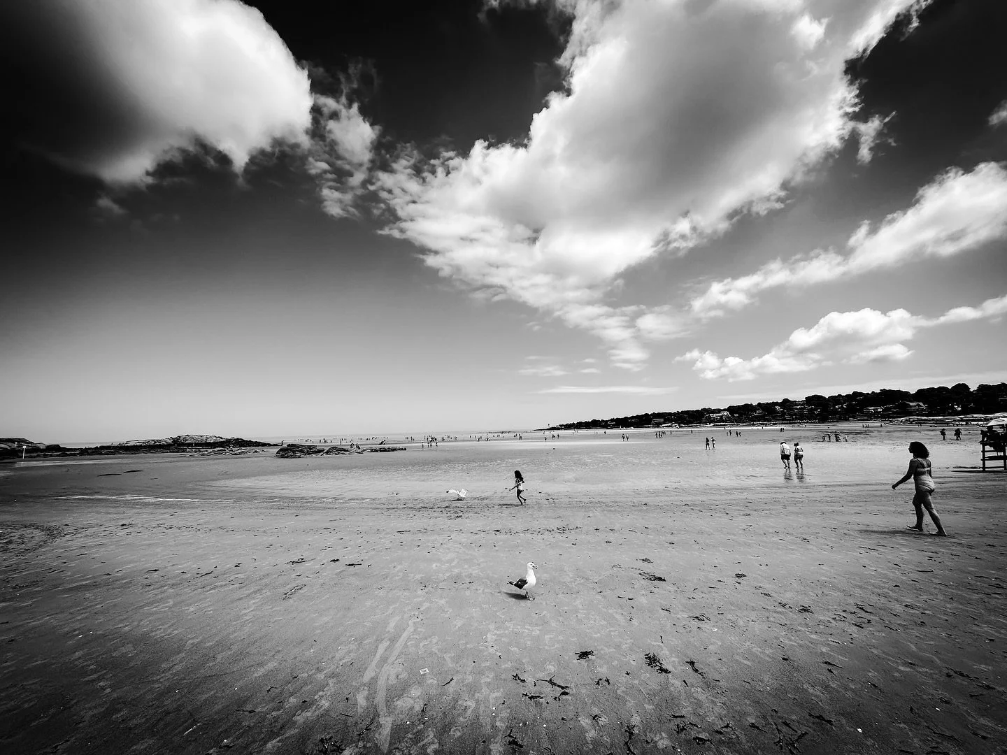 Favorite place #ocean #beach #oceanbeach #blackandwhite #blackandwhitephotography
