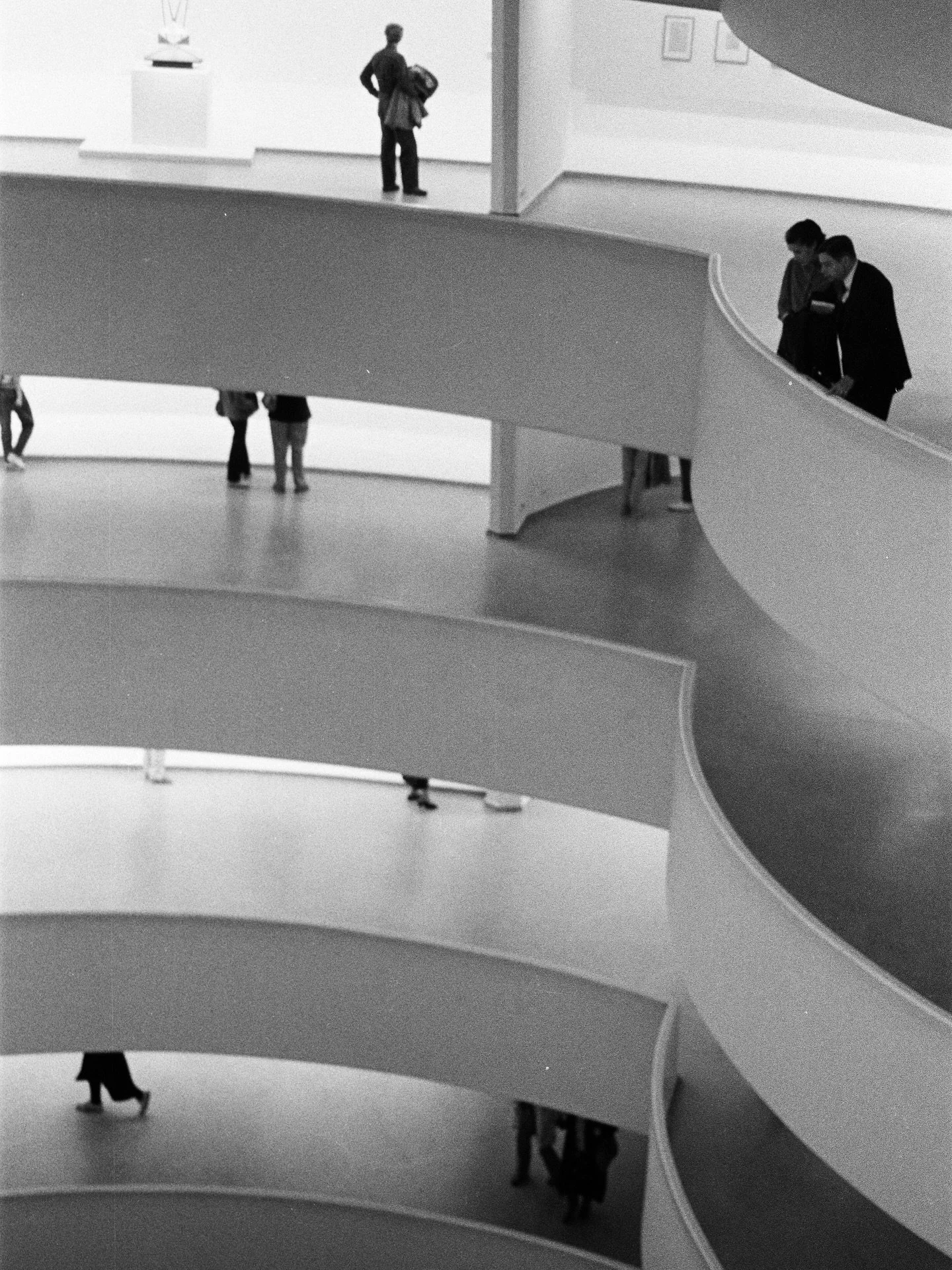 35mm film photos @jmerrickmedia @abracadabrafilmlab #35mmfilm #35mmphotography #blackandwhite #blackandwhitephotography #streetphotography #filmdnotdead @guggenheim #museum #trees #summer #architecture