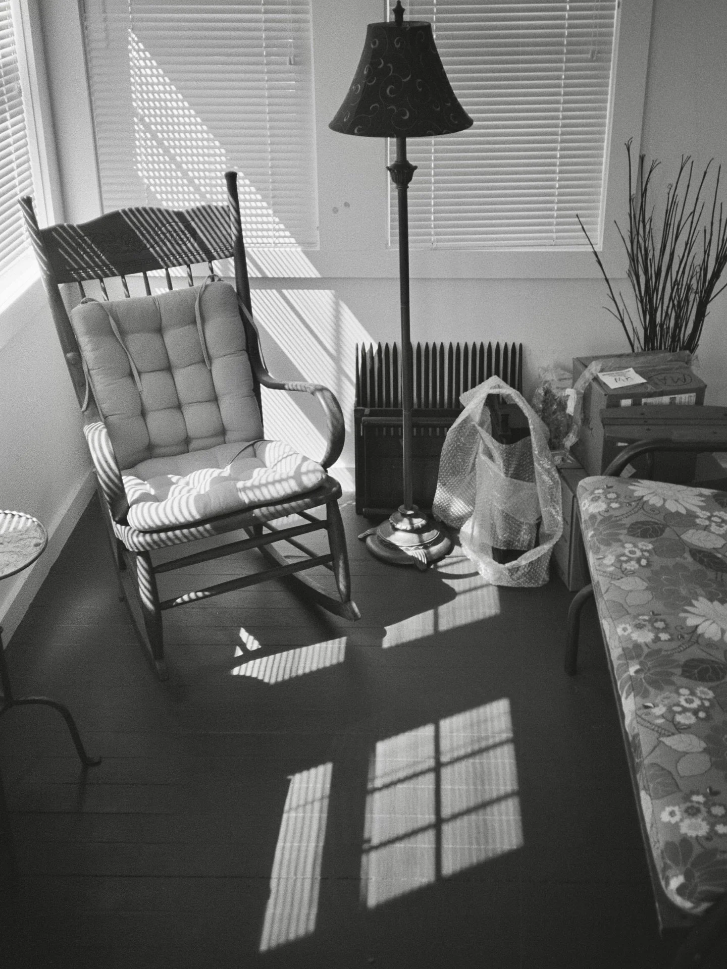 New 35mm film photos @abracadabrafilmlab #blackandwhitephotography #blackandwhite #shadows #plants #quiet #35mmfilm #35mmphotography