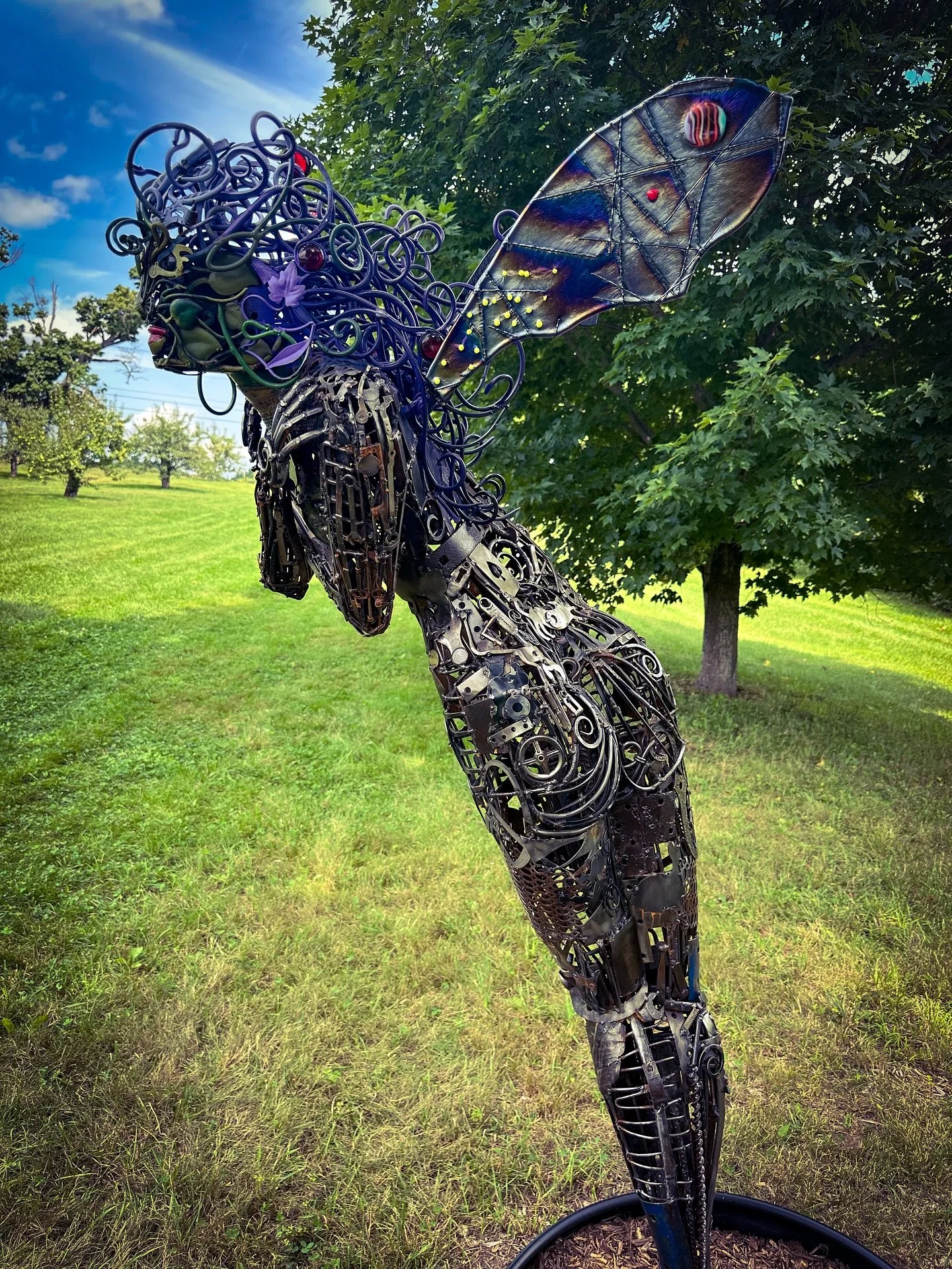 Iris by Brian McQuillan @parkhillorchard new sculptures! #artintheorchard2026 #artintheorchard #colors #colorphotography #sculpture #art #jmerrickmedia