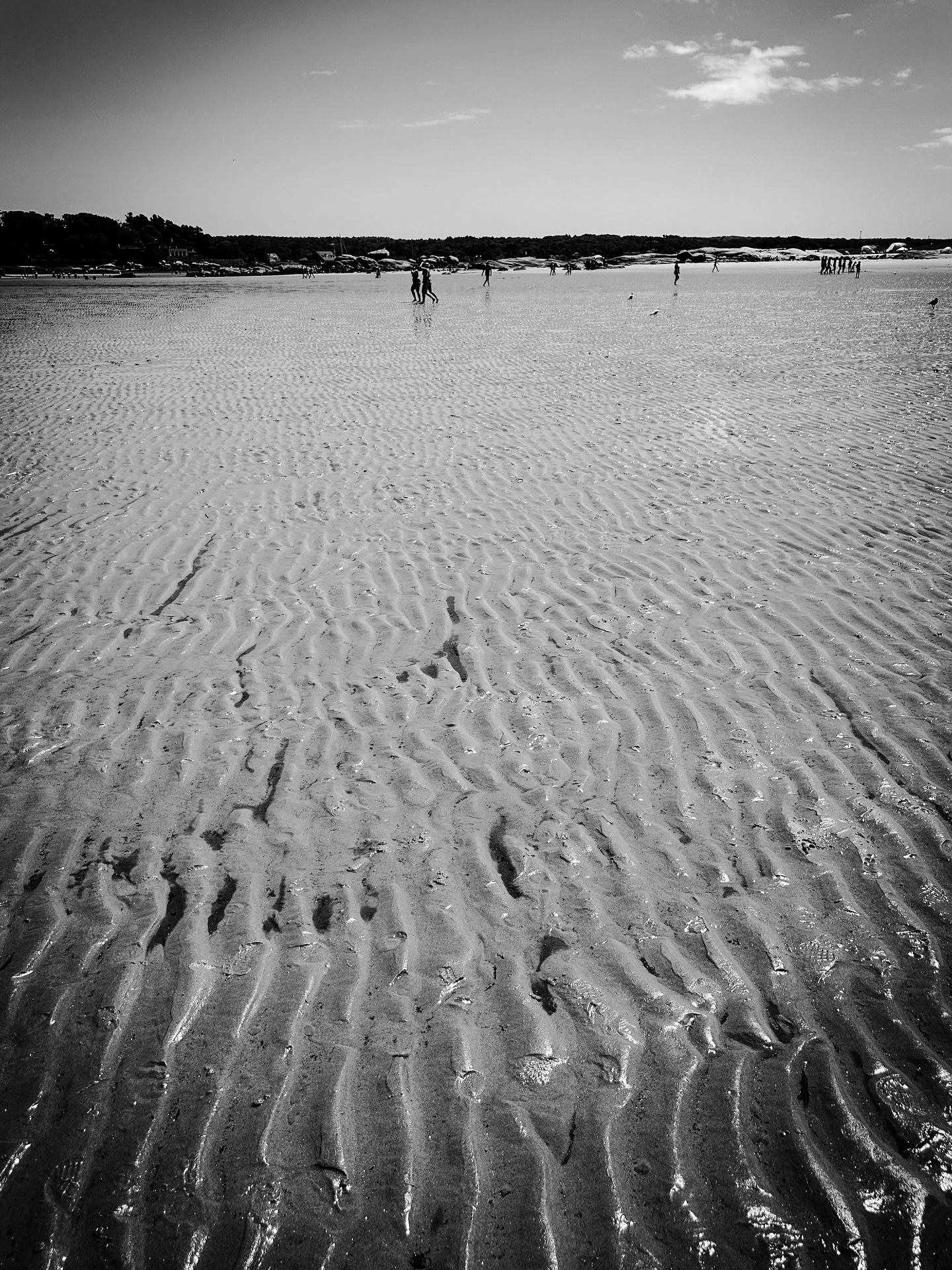 North shore #beach #ocean #oceanbeach #ship #shore #timeless #blackandwhite #blackandwhitephotography