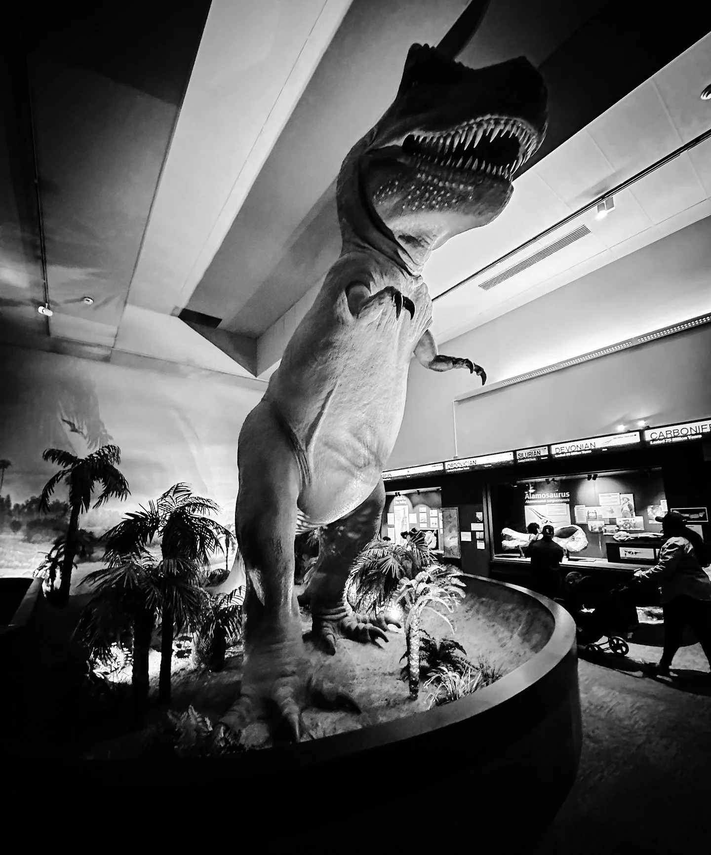 #trex #sciencemuseum #museum #blackandwhite #blackandwhitephotography #dinosaur #dinosaurs