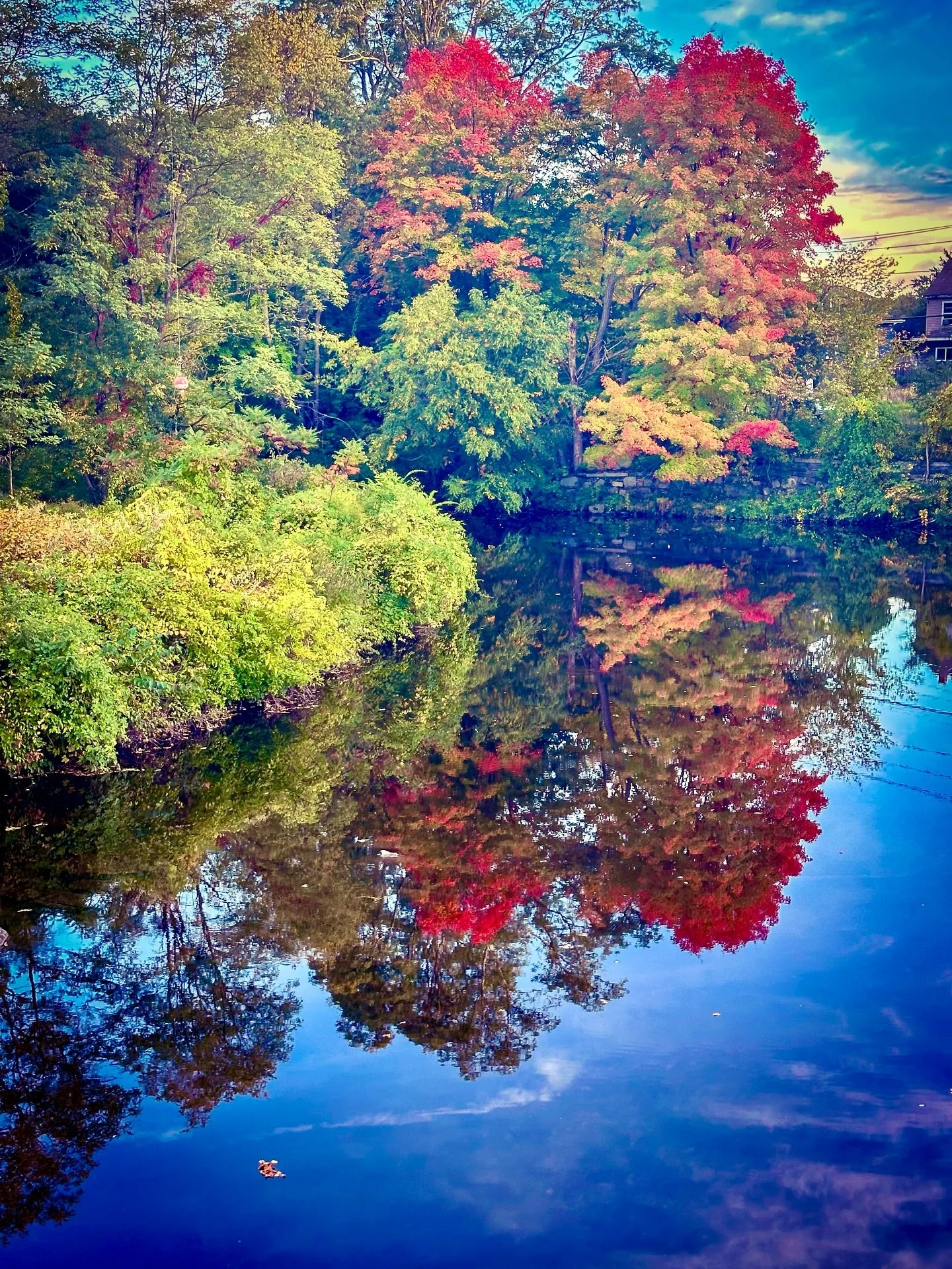 Fall colors! #fall #foliage #autumn #landscape #landscapephotography #colors #colorphotography #fallvibes #autumnvibes #blackandwhite #blackandwhitephotography