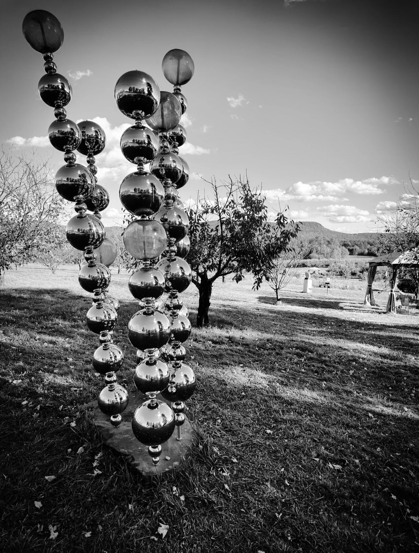More from @parkhillorchard #artintheorchard #artintheorchard2026 (please add artist name in the comments if you know it- thanks) #blackandwhite #blackandwhitephotography #art #orchard #landscape #landscapephotography #view #sculpture