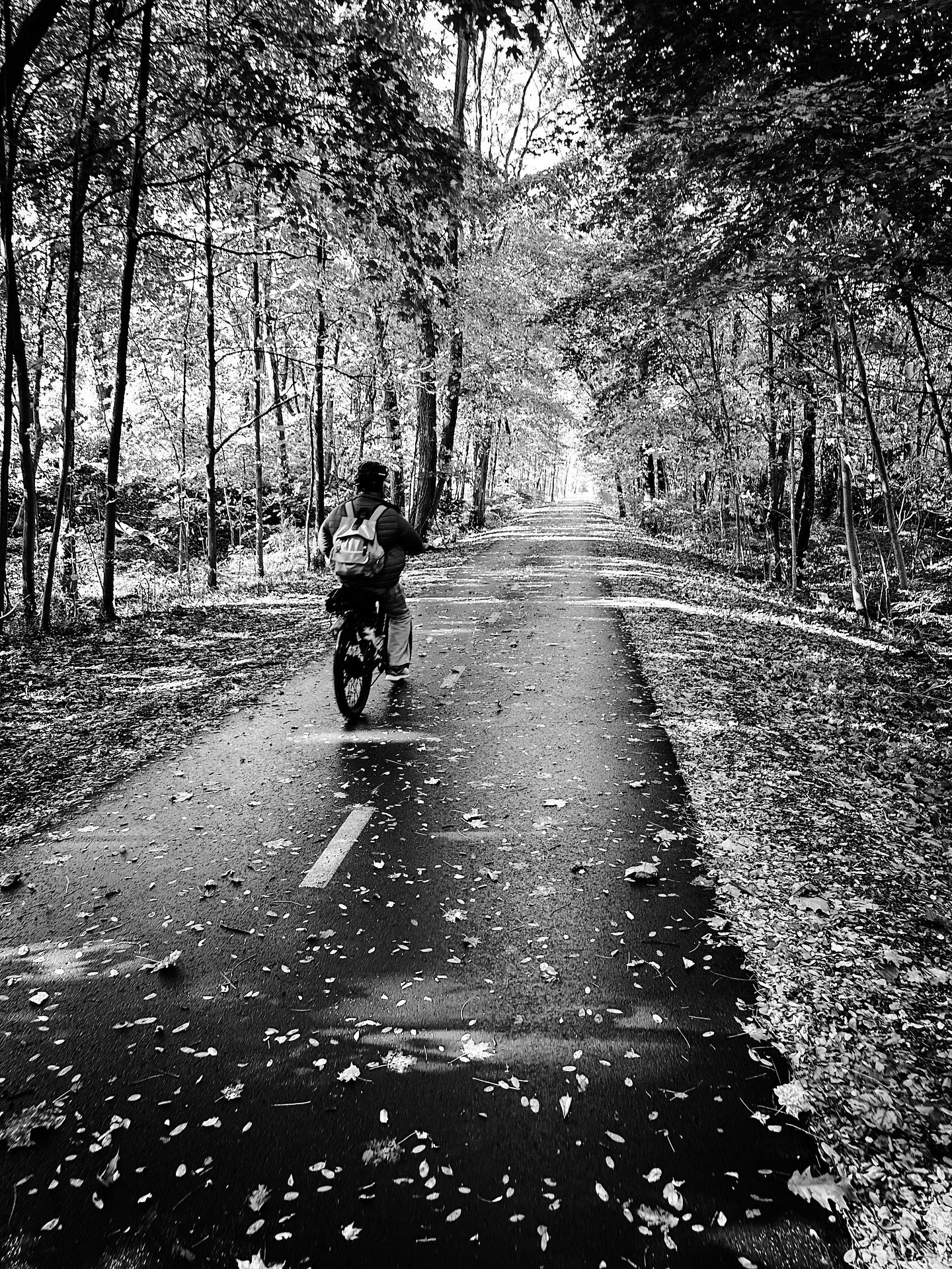 Fall bike path #fall #autumn #path #bikepath #tunnel #reees #blackandwhite #blackandwhitephotography #streetphotos #streetphotography #leaves #foliage