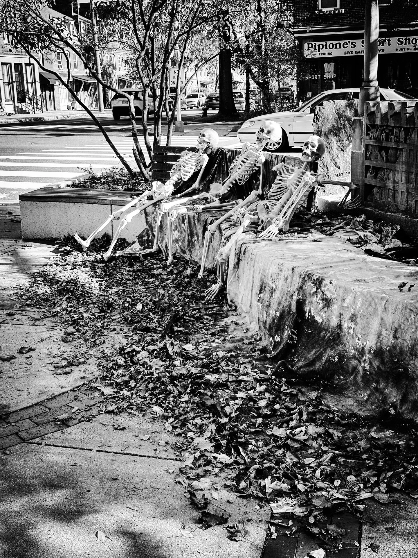 Just hanging out #streetphotos #streetphotography #blackandwhite #blackandwhitephotography #skeletons #halloweeniscoming #fallvibes #autumnvibes