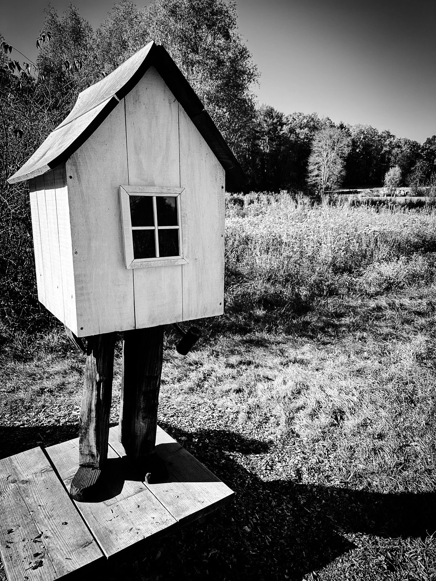 #artintheorchard @parkhillorchard #blackandwhite #blackandwhitephotography #art #sculpture #sculptures (please add artist name if you know)