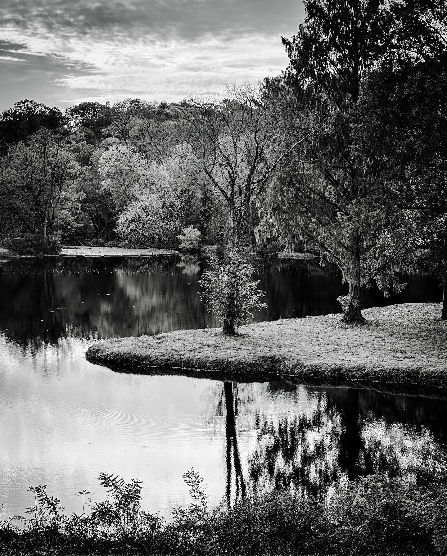 Walk today #streetphotos #streetphotography #landscape #landscapephotography #fallvibes #autumnvibes #blackandwhite #blackandwhitephotography