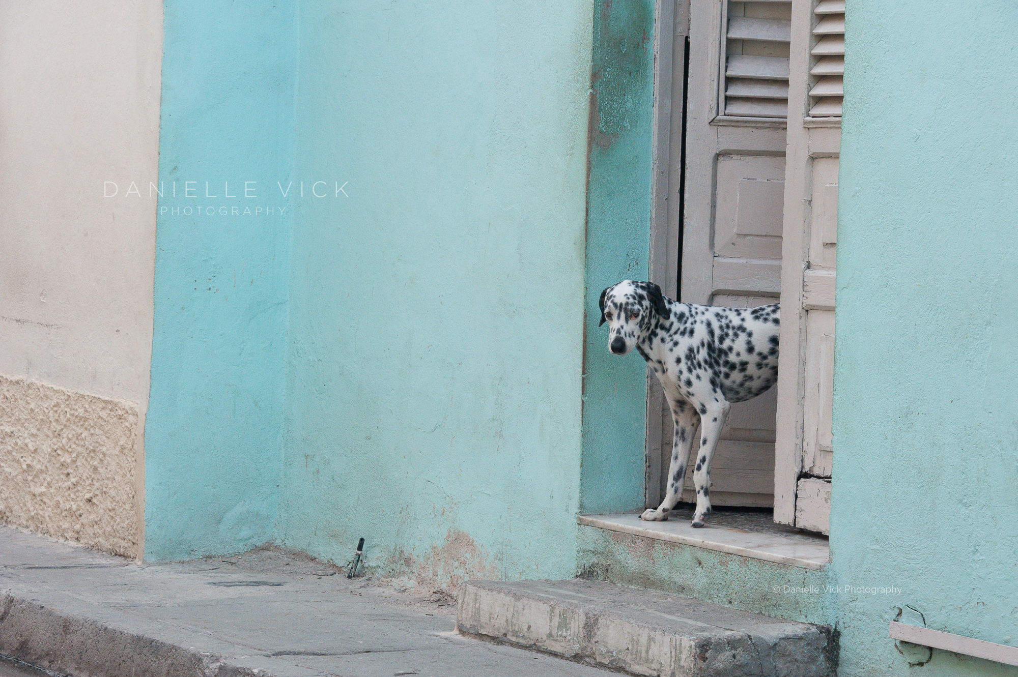 Cuba V