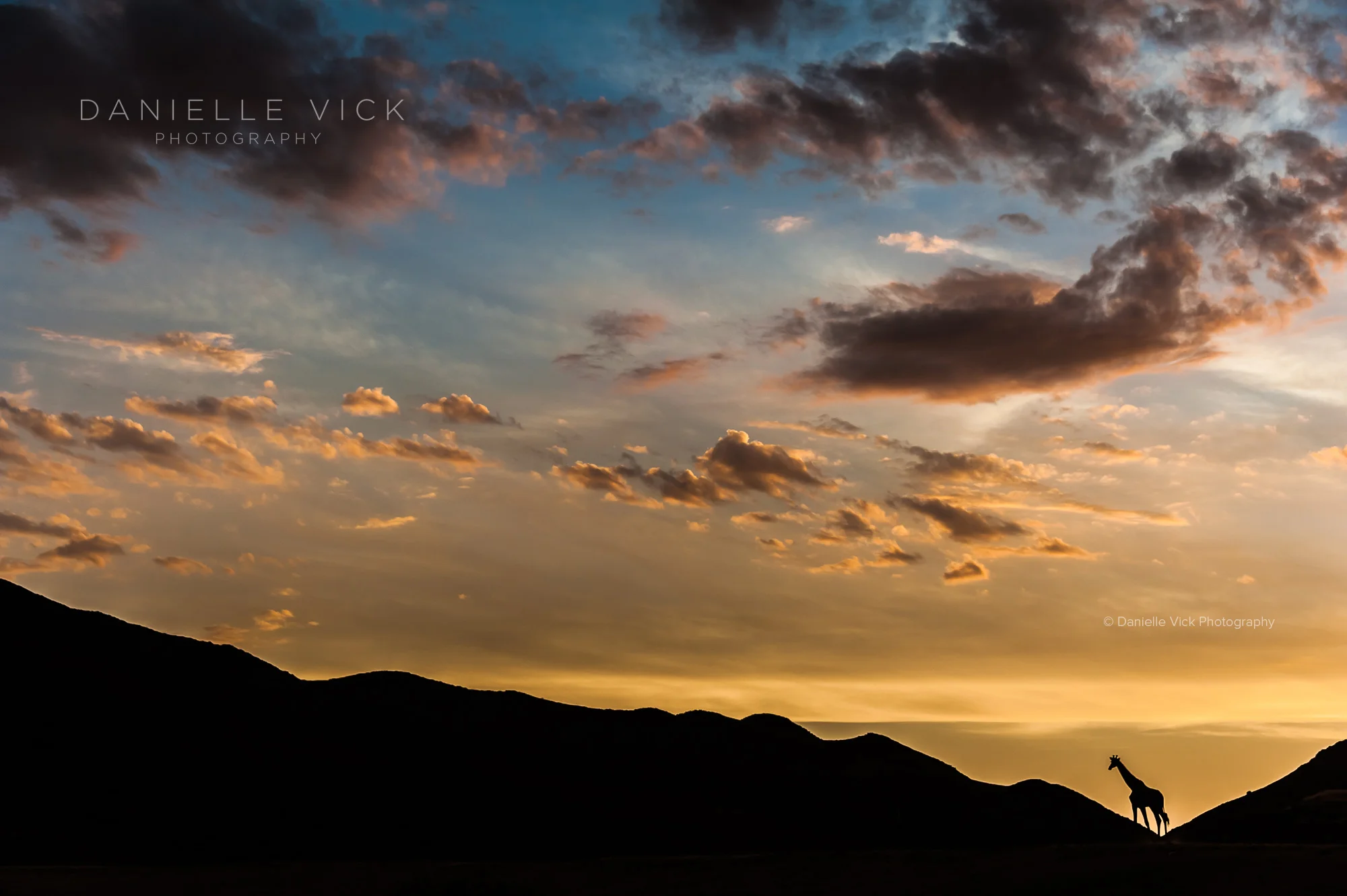 DVP-namibia-7.jpg