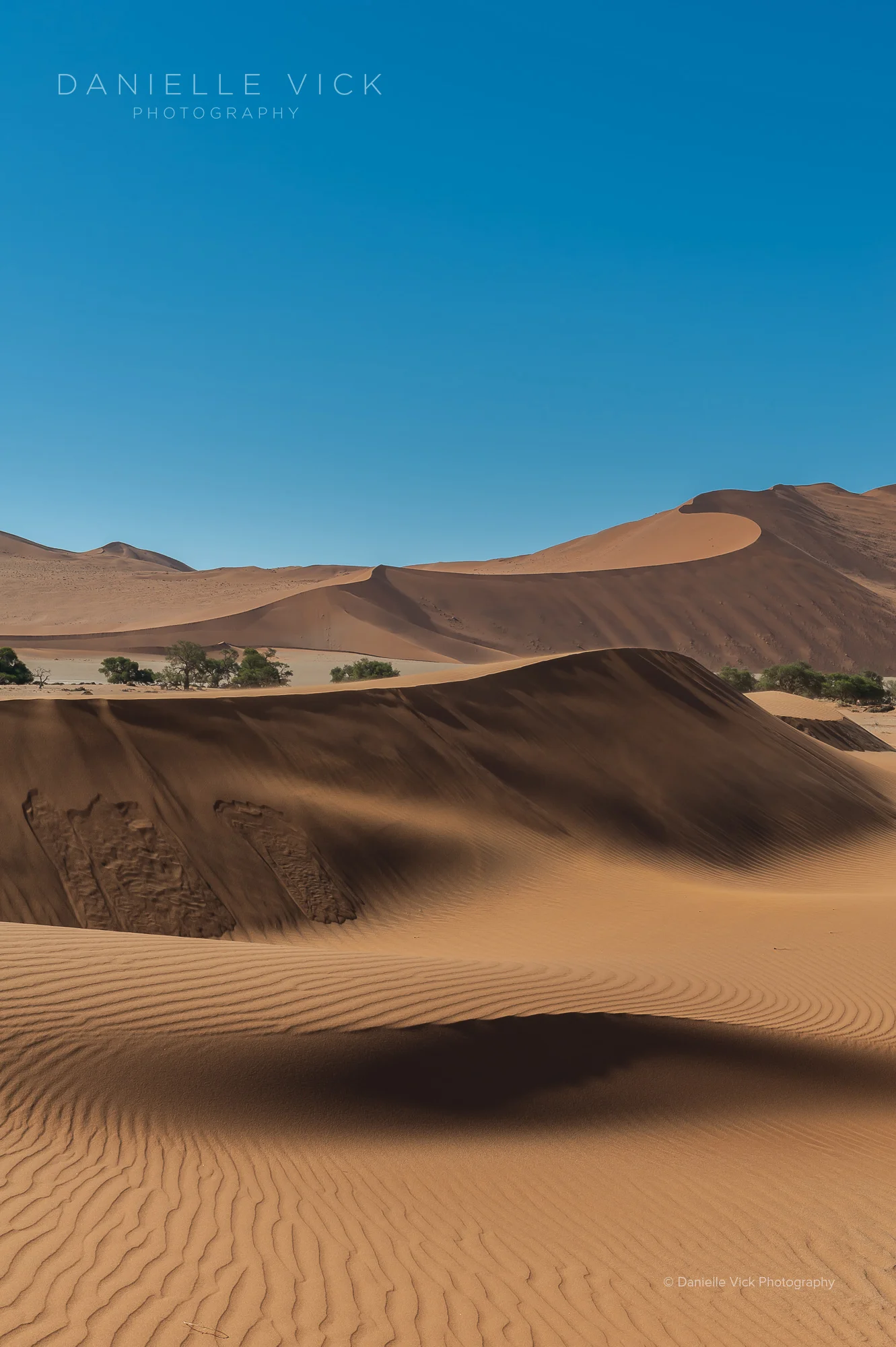 DVP-namibia-8.jpg