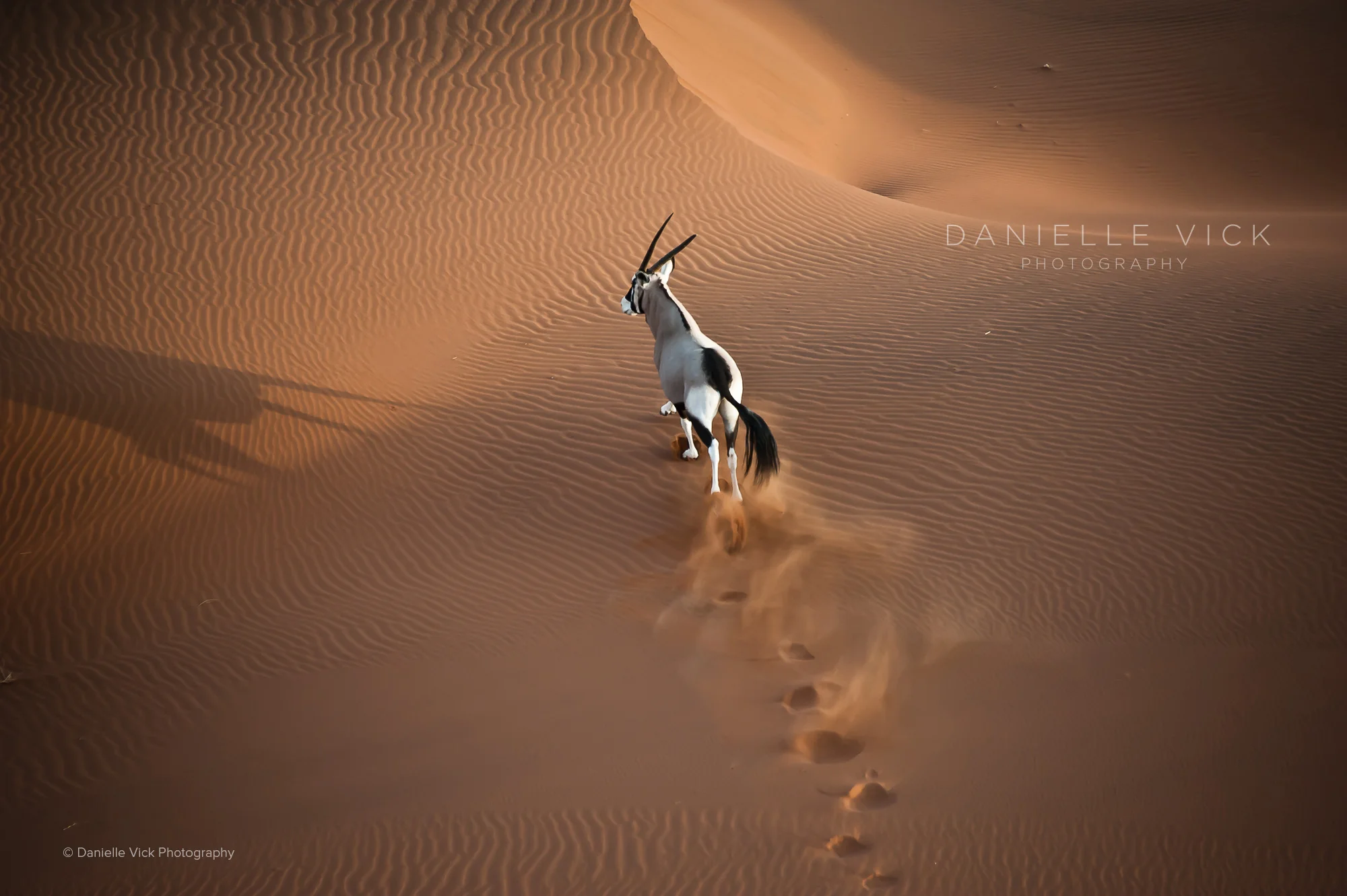 DVP-namibia-10.jpg