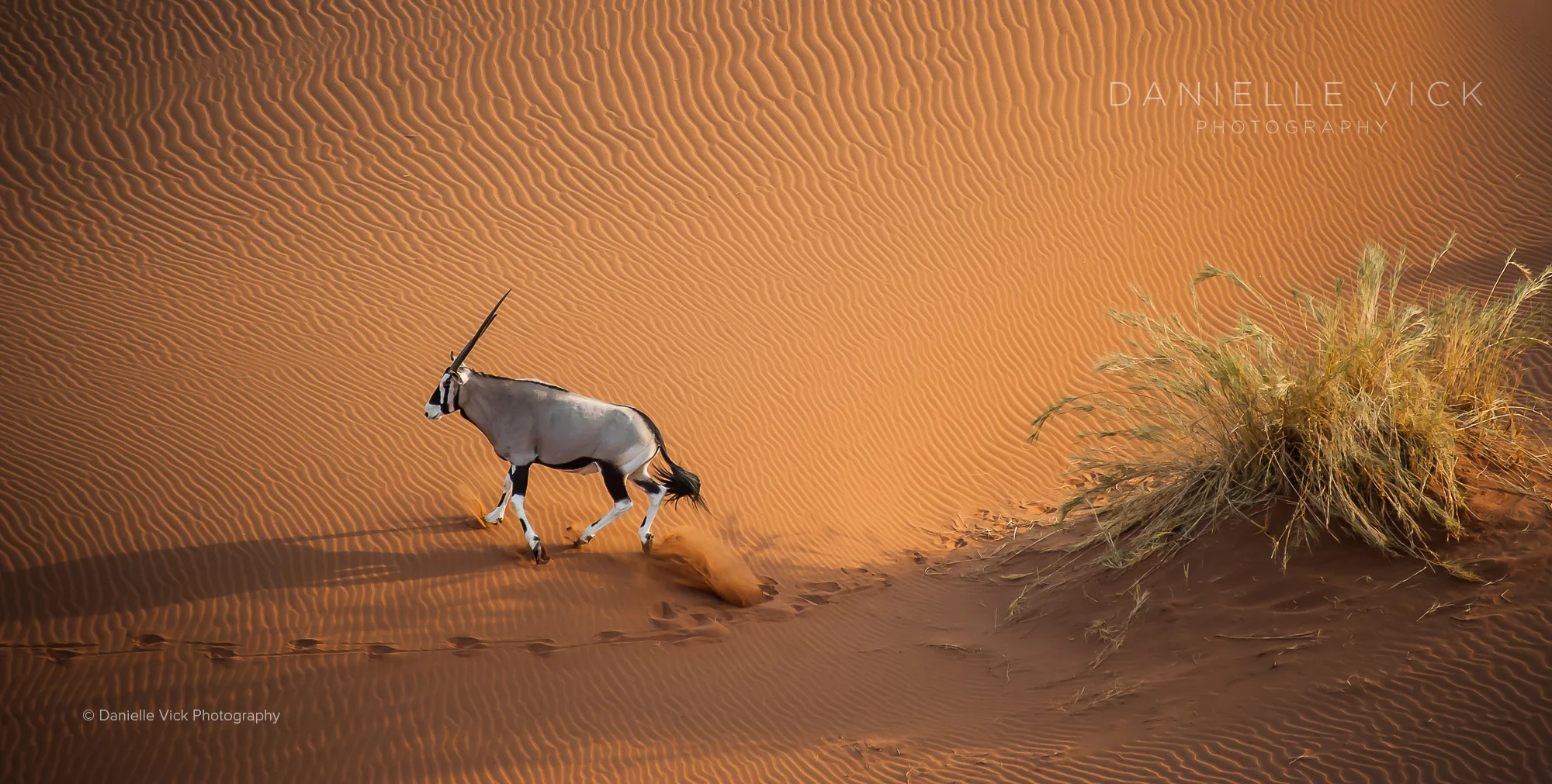 DVP-namibia-11.jpg