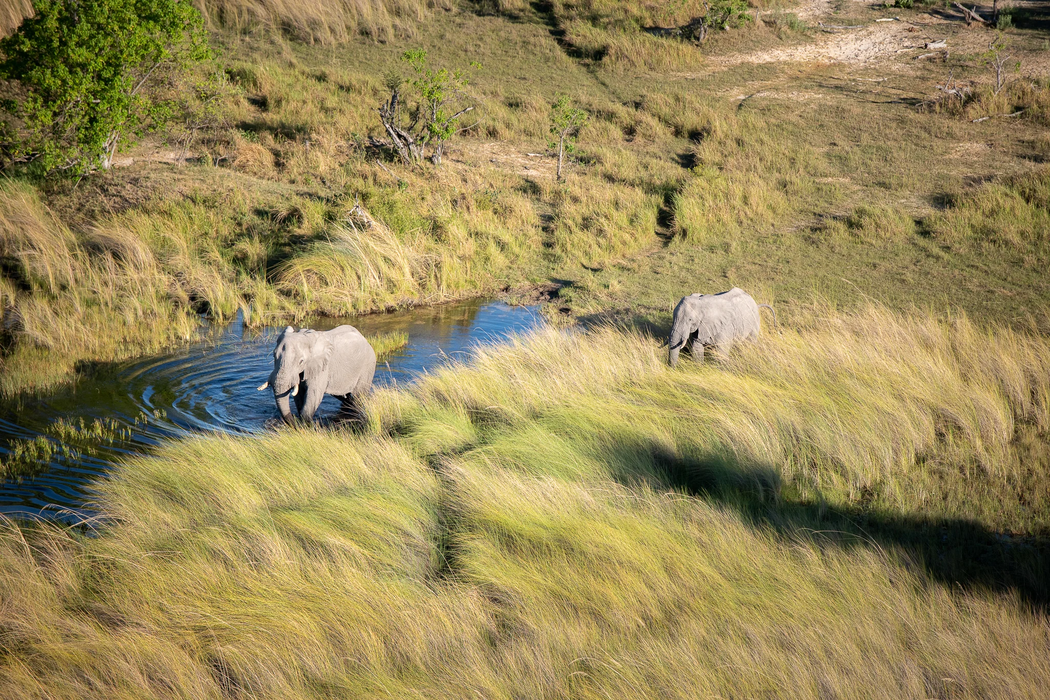 2018_Botswana_-9.jpg