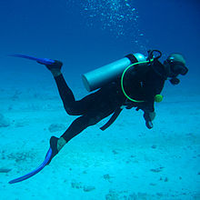 scuba diving .jpg
