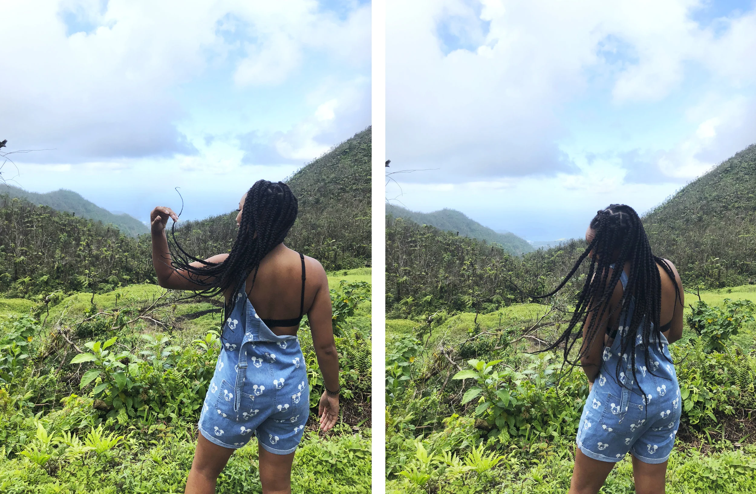 Hairflips2.jpg