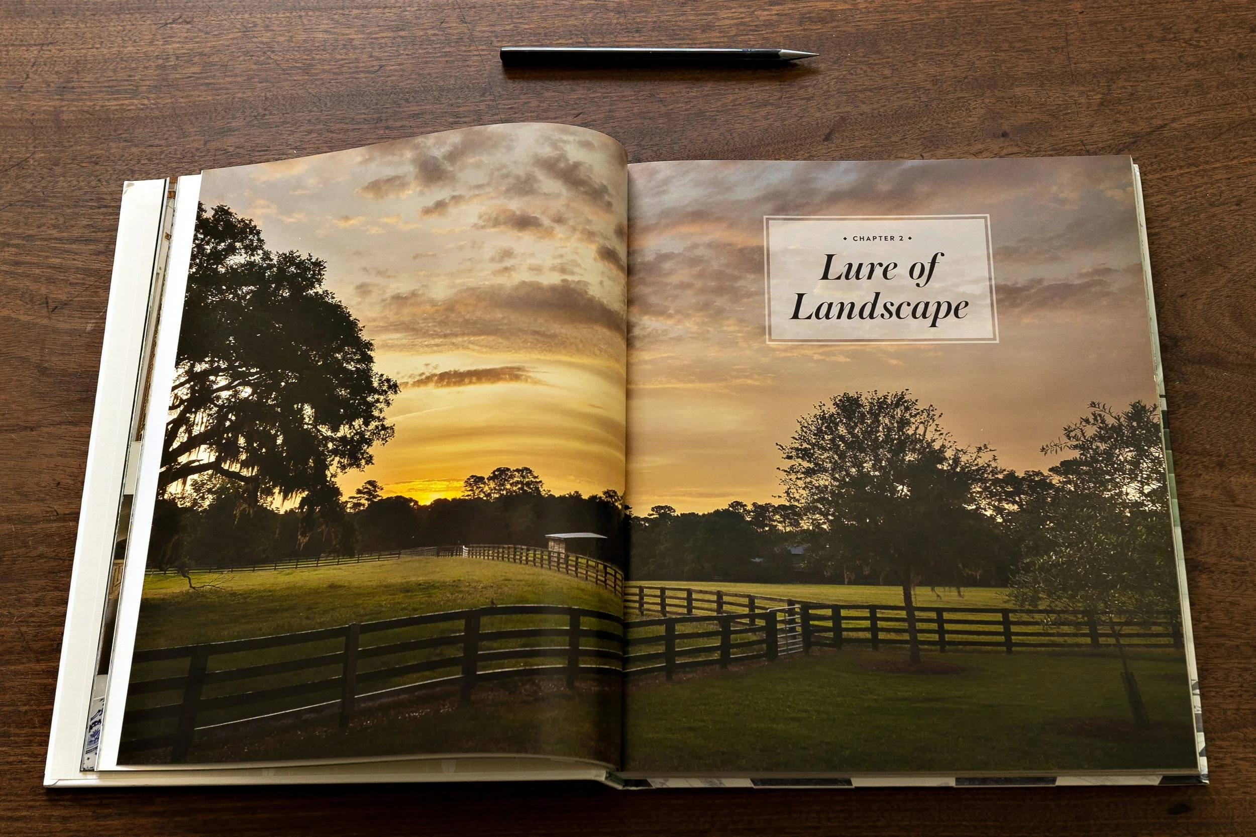 ClaraChambers_BOOKS_A_ 002.jpg