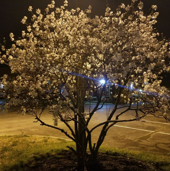 New Skins, New Perspective